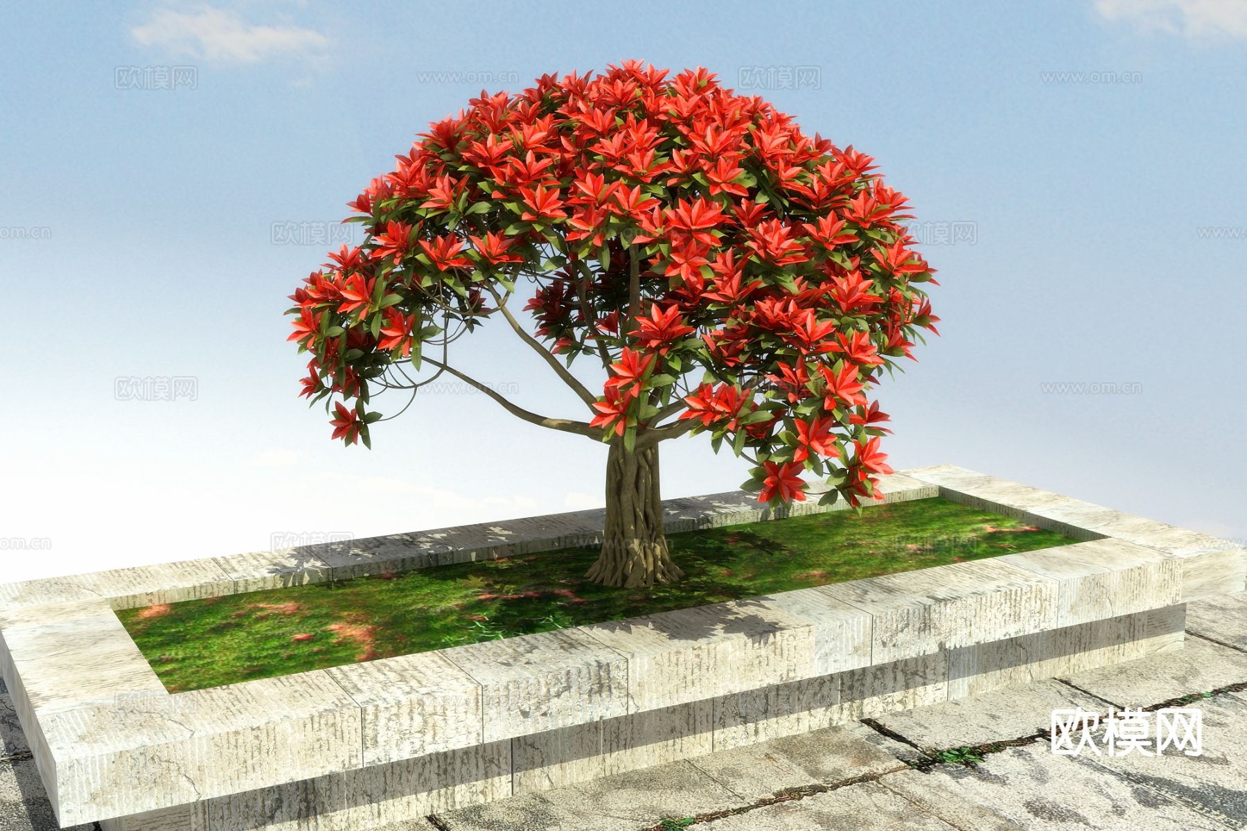灌木 红叶石楠3d模型下载（渲染图2）