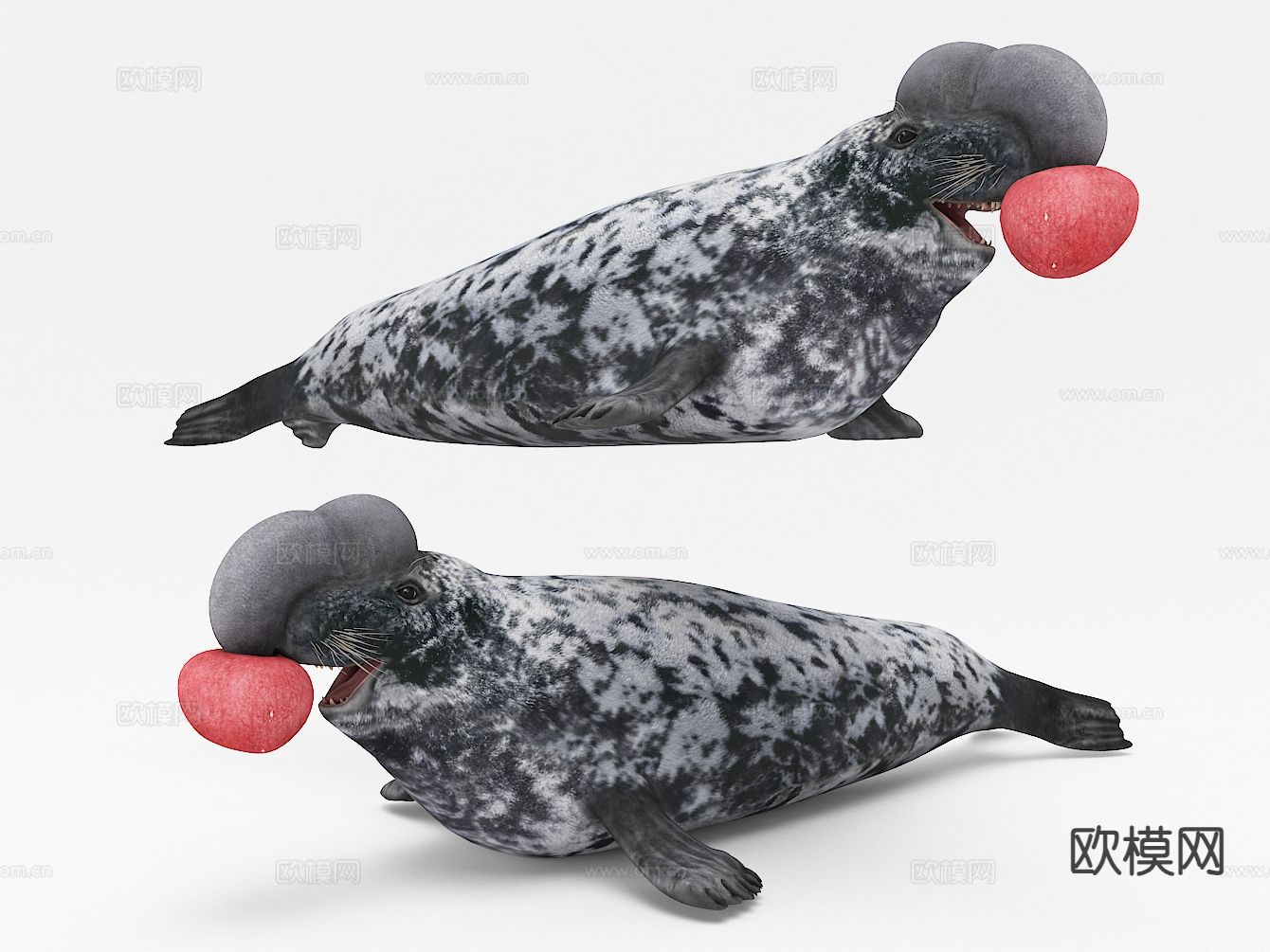 海豹3d模型下载