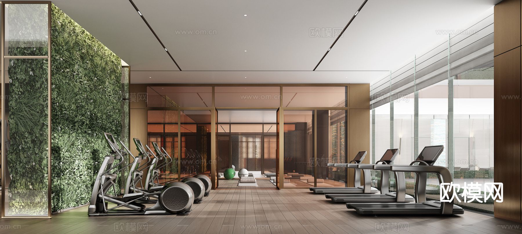 CCD现代酒店健身房 瑜伽室3d模型下载