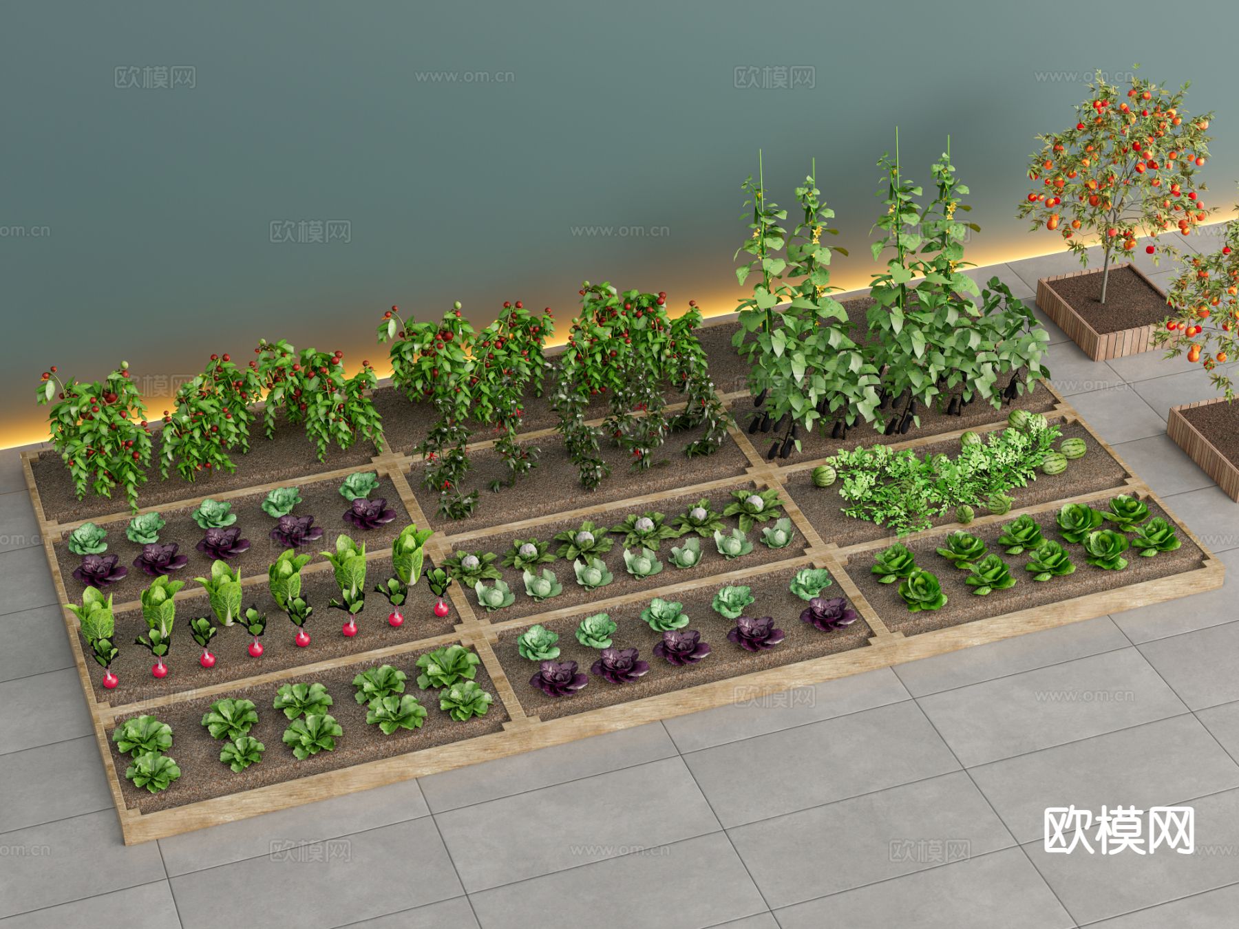 农作物 菜地 种植园 水果蔬菜3d模型下载