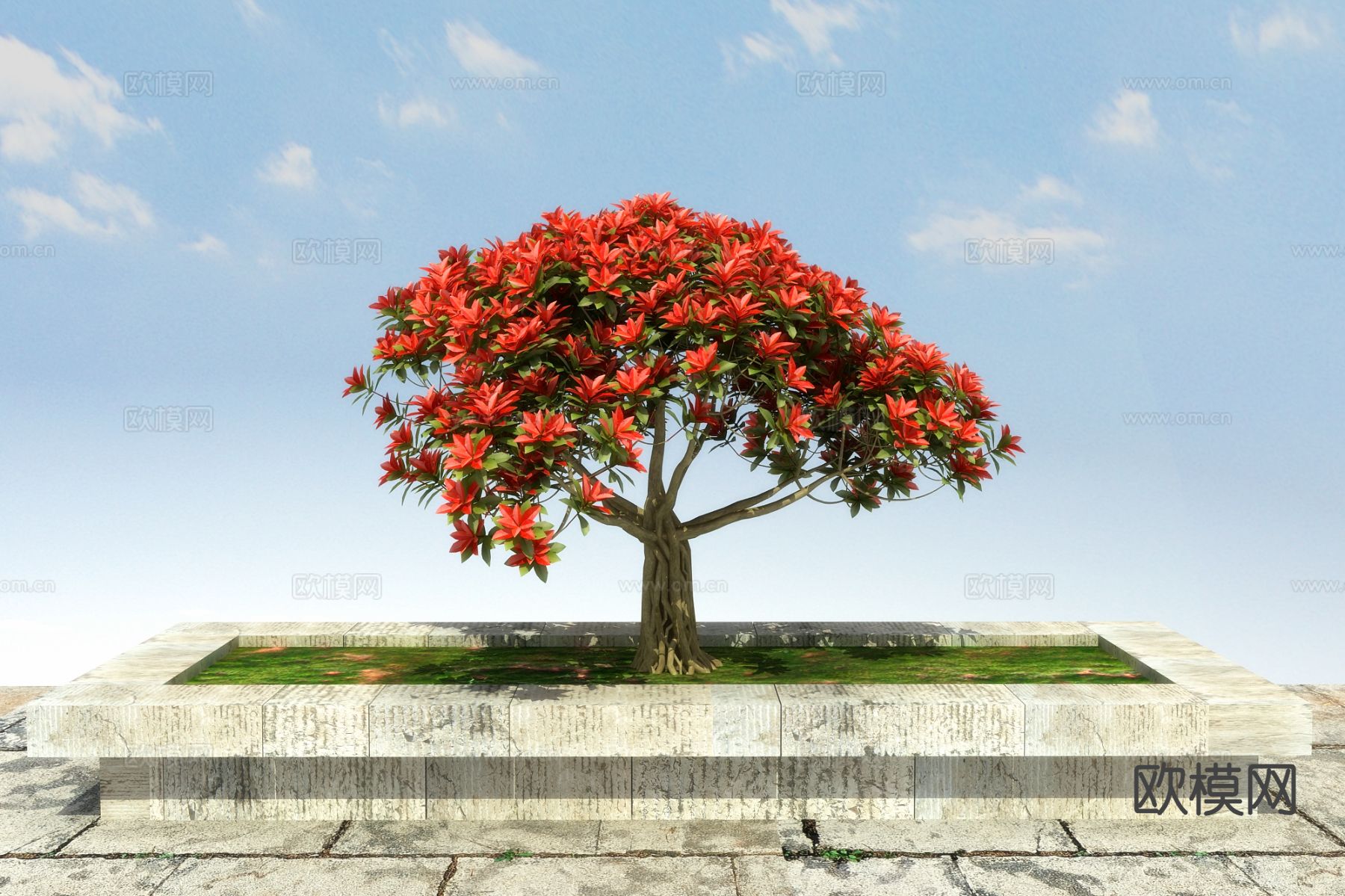 灌木 红叶石楠3d模型下载（渲染图1）
