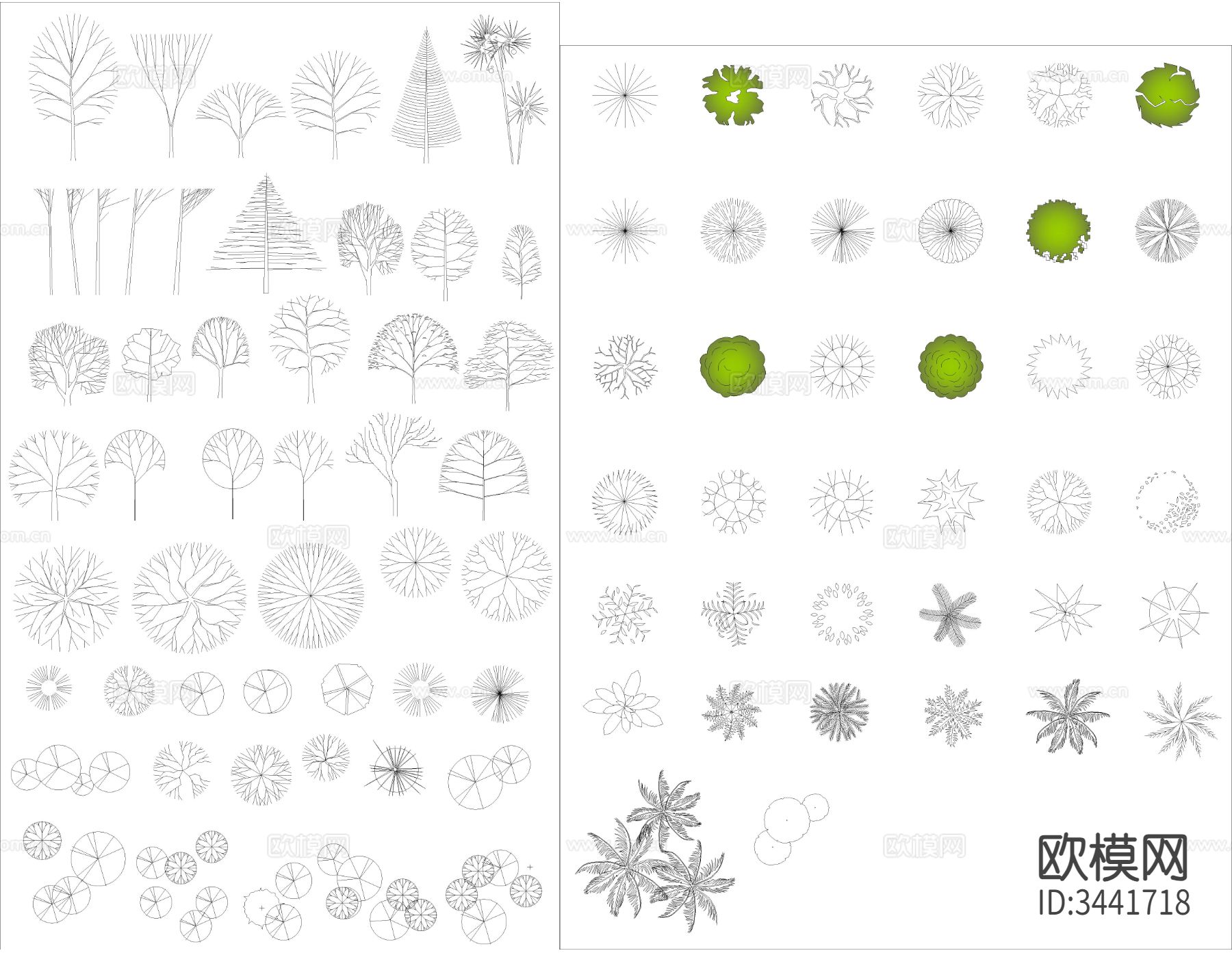 树木cad图库下载（渲染图3）