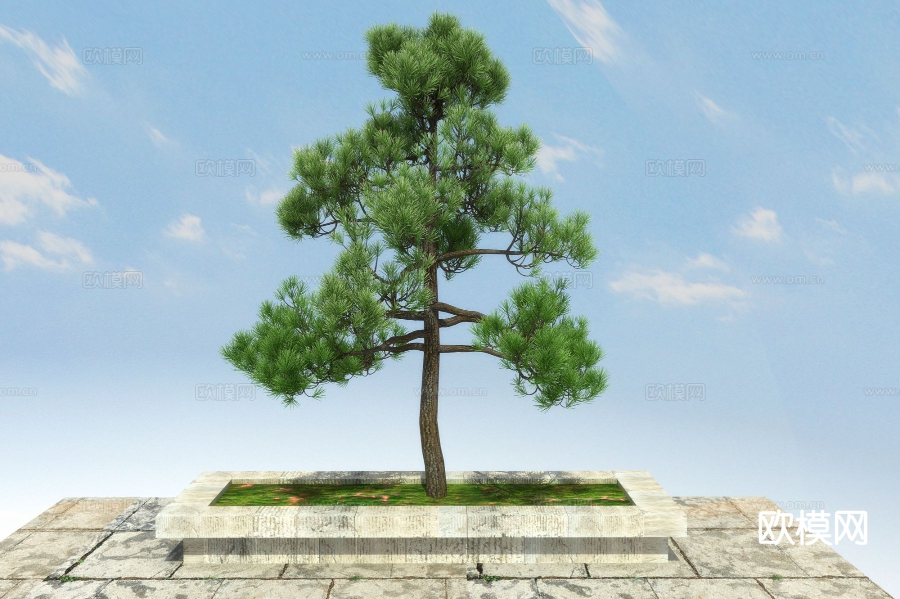 新中式松树 松柏3d模型下载