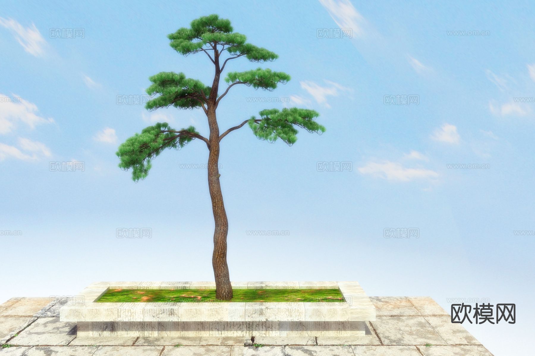 新中式松树 松柏3d模型下载