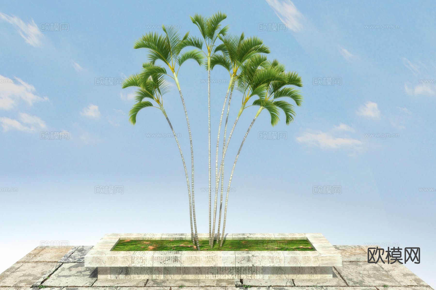 景观树 果树3d模型下载