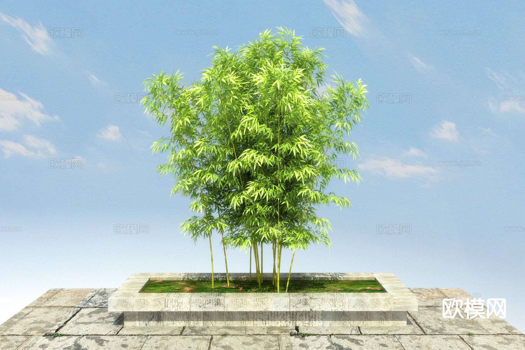 绿竹 金竹3d模型下载