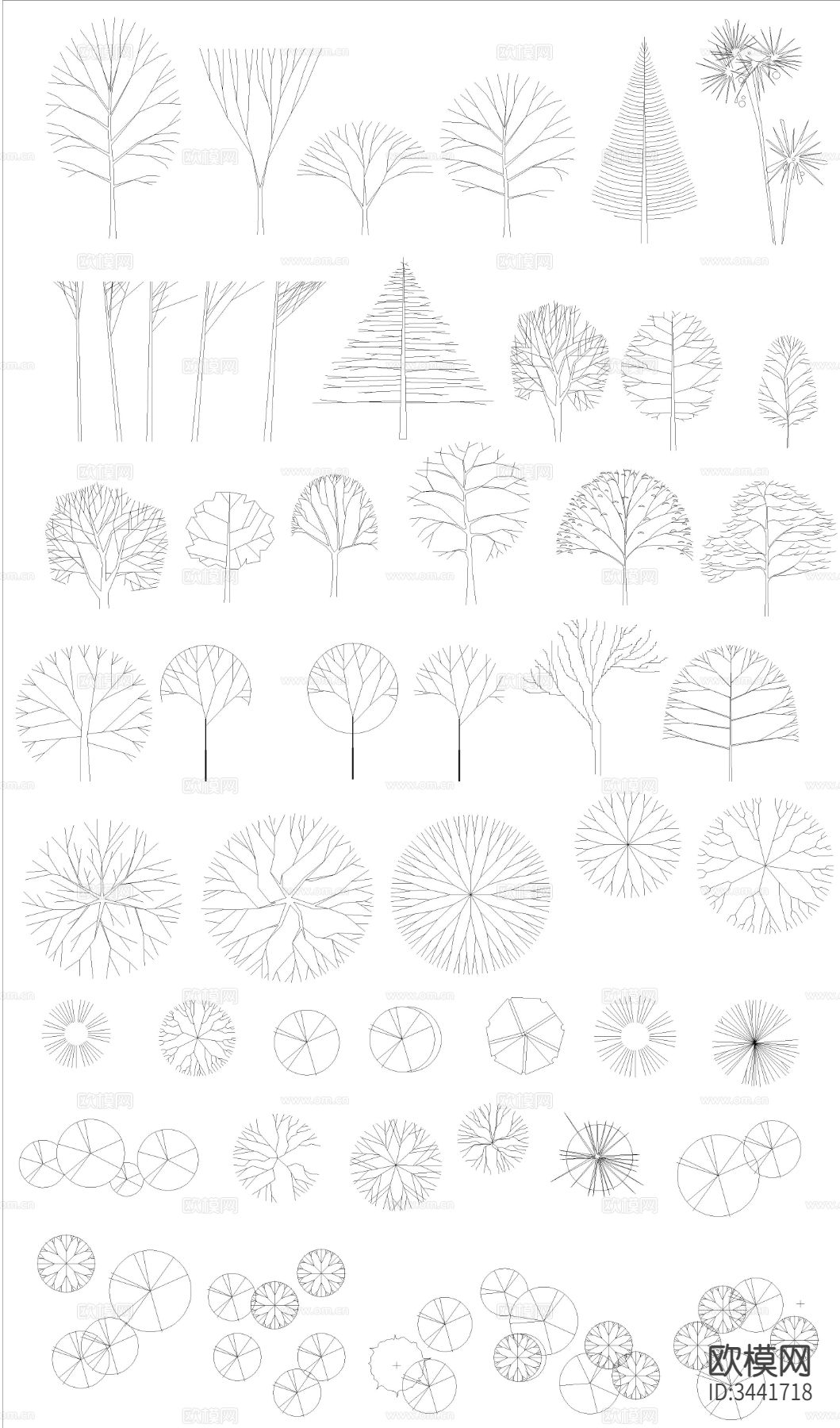 树木cad图库下载（渲染图2）