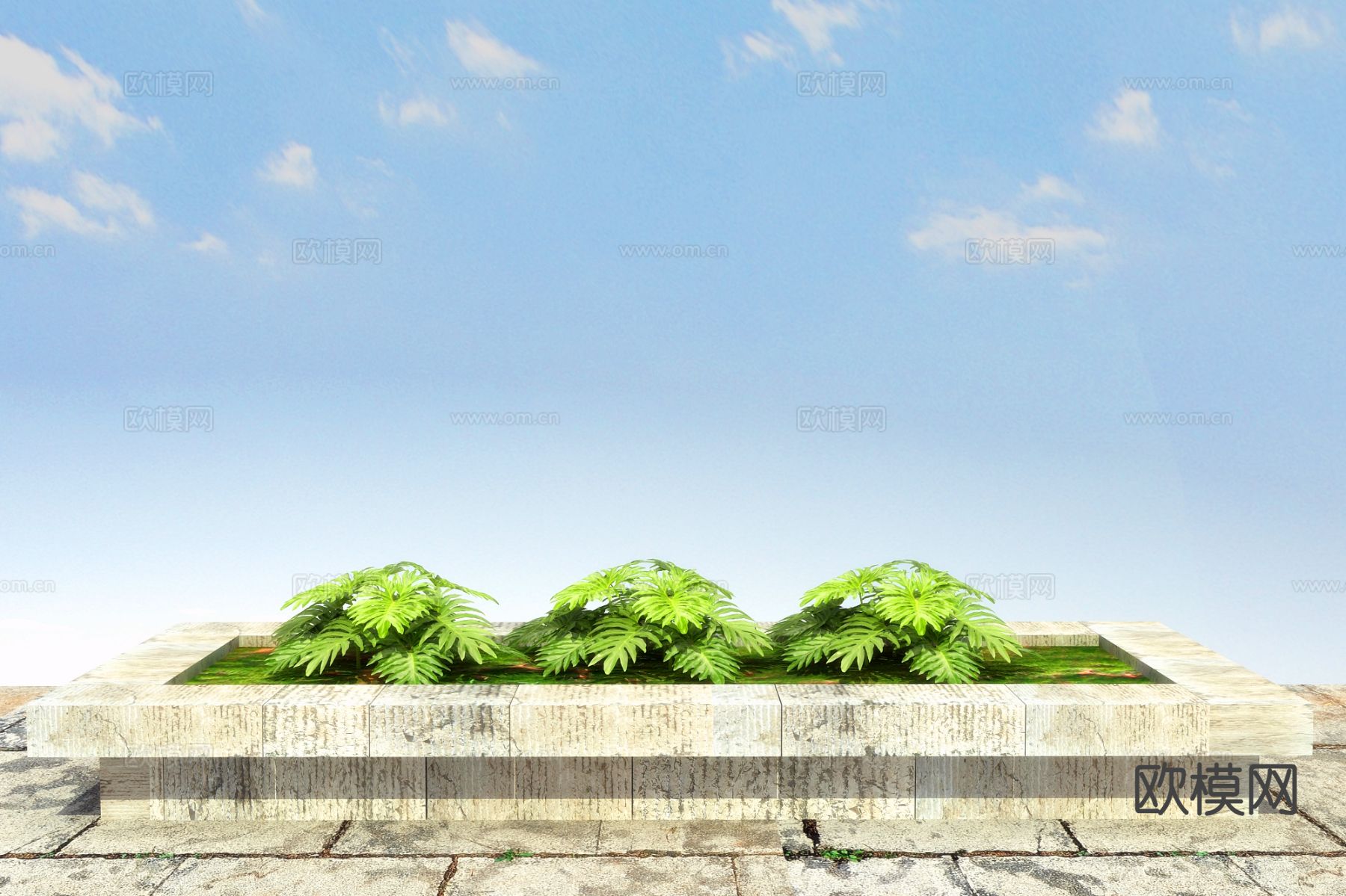 春羽 花坛 花槽 花池3d模型下载（渲染图1）