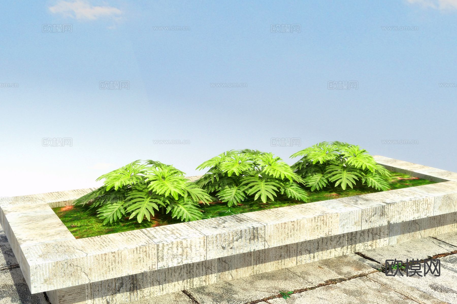 春羽 花坛 花槽 花池3d模型下载（渲染图2）