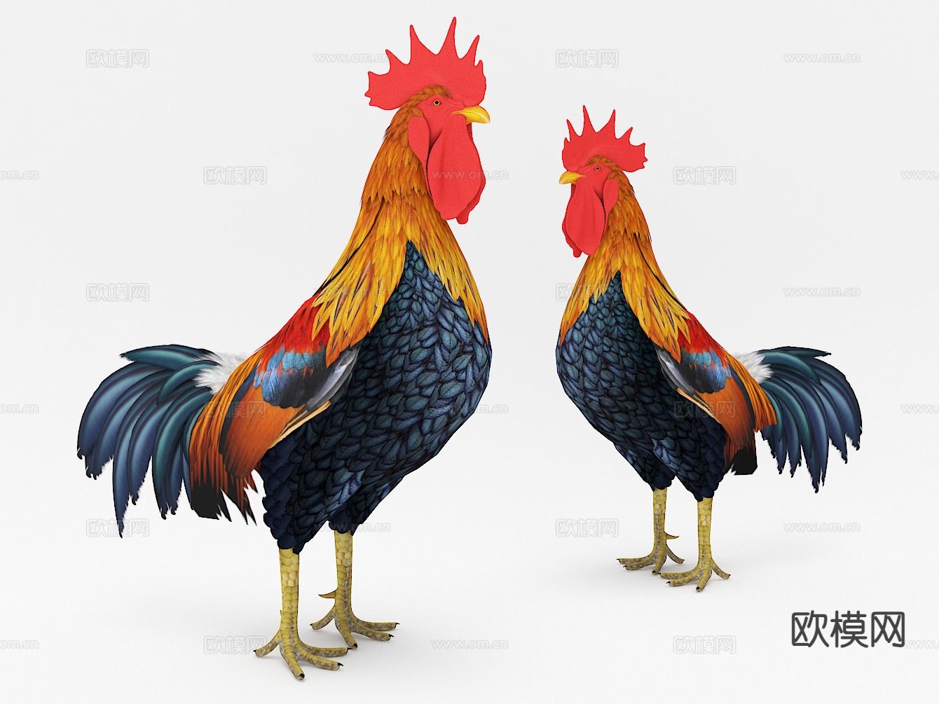 大公鸡3d模型下载