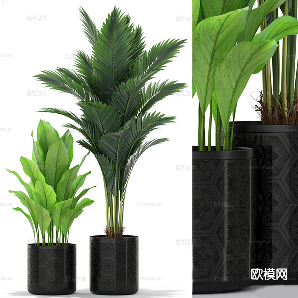 绿植 盆景 盆栽3d模型下载