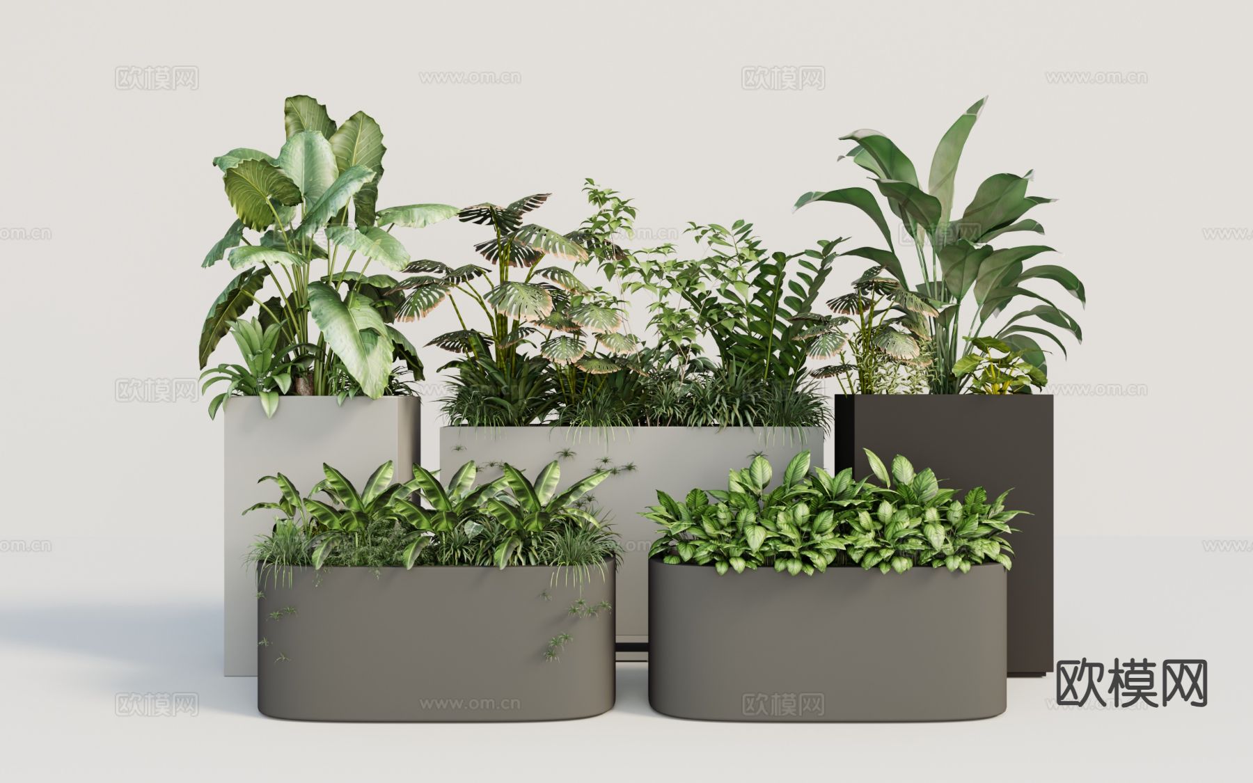 花箱 植物箱 外摆 绿植3d模型下载