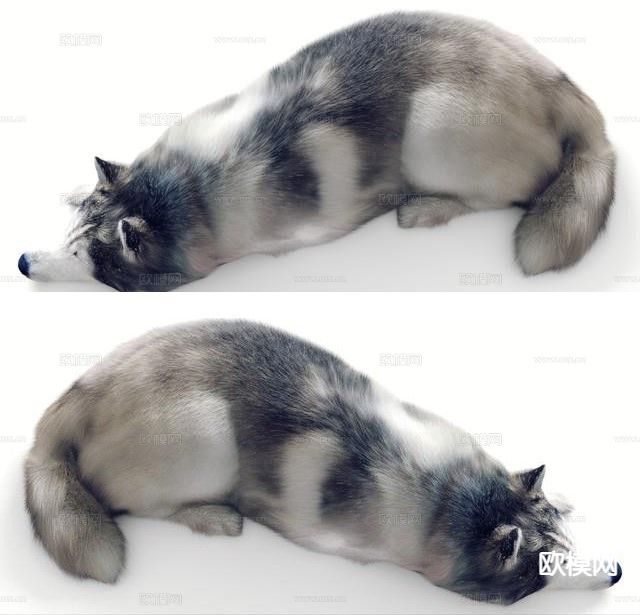 动物 宠物狗3d模型下载