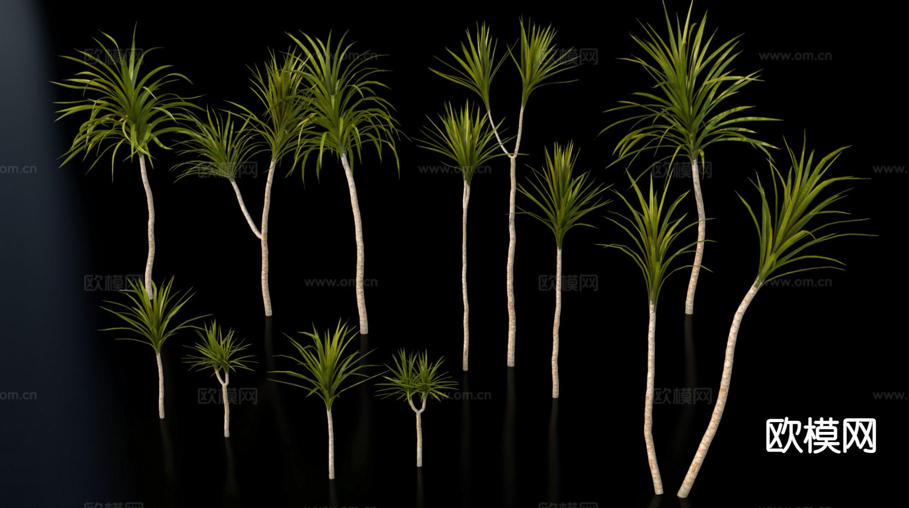 热带植物su模型下载（渲染图2）