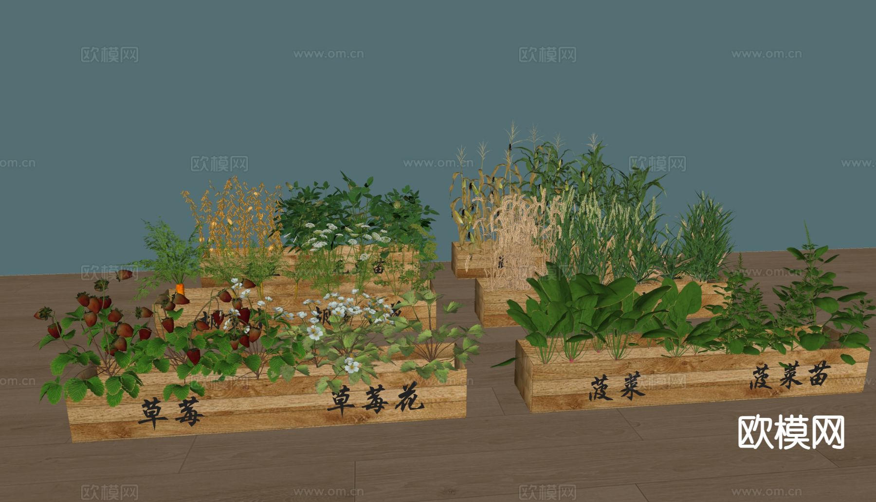 菜地种植 毛豆 玉米 胡萝卜 草莓su模型下载（渲染图1）