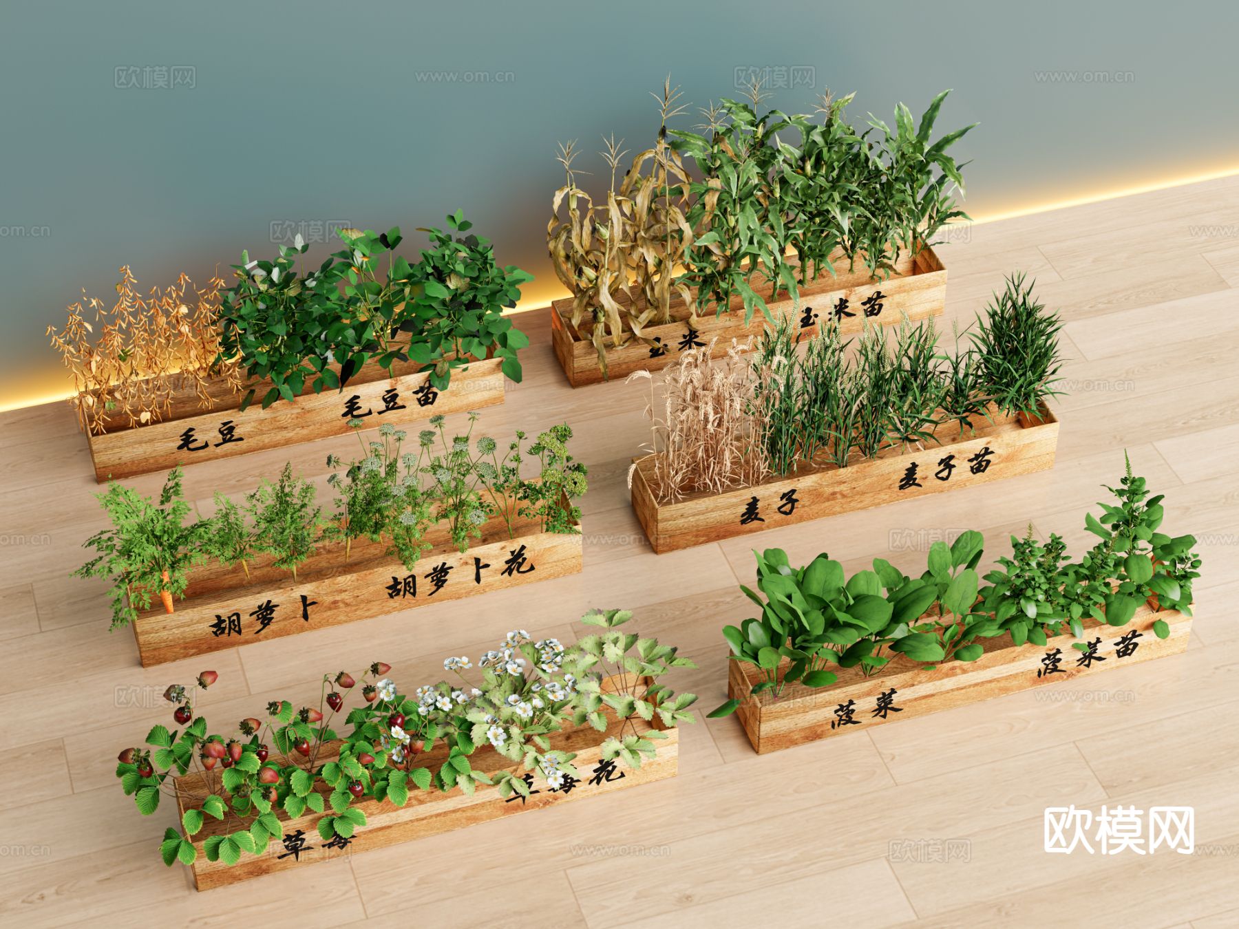 菜地种植 毛豆 玉米 胡萝卜 草莓su模型下载（渲染图2）