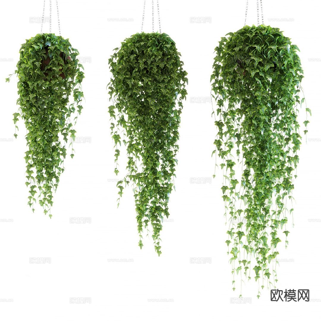 吊篮 盆栽 绿植3d模型下载