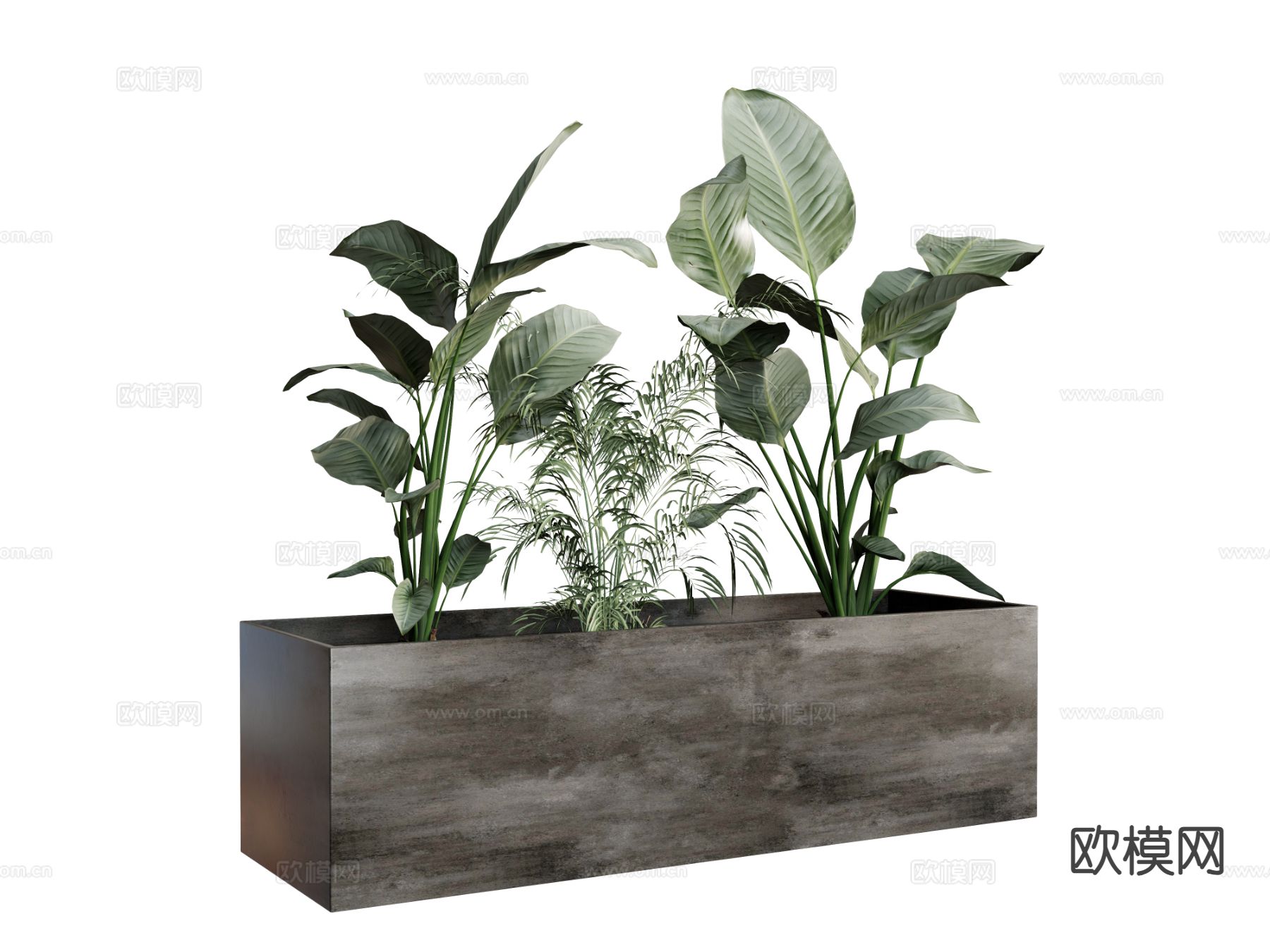 户外花箱 花槽 花钵su模型下载（渲染图2）