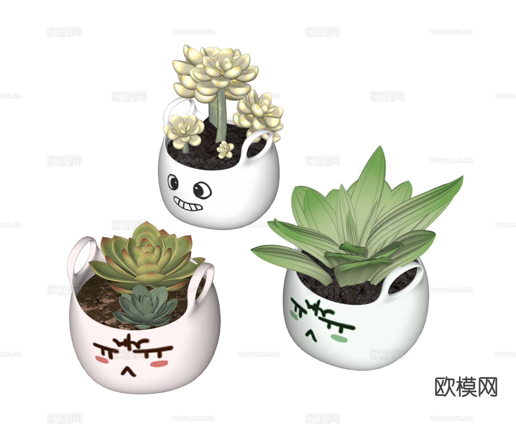 多肉小盆栽 绿植su模型下载（渲染图1）