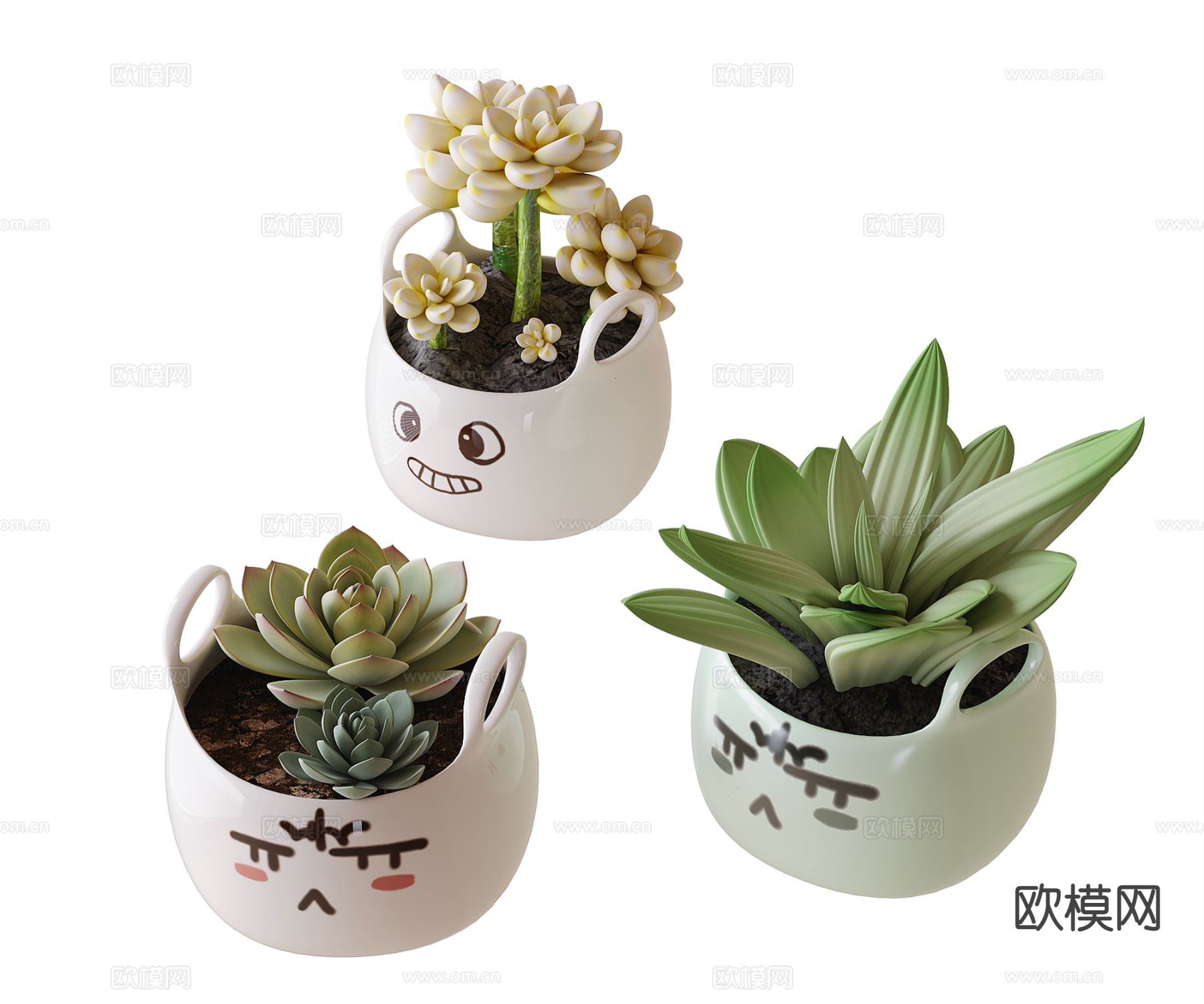 多肉小盆栽 绿植su模型下载（渲染图2）