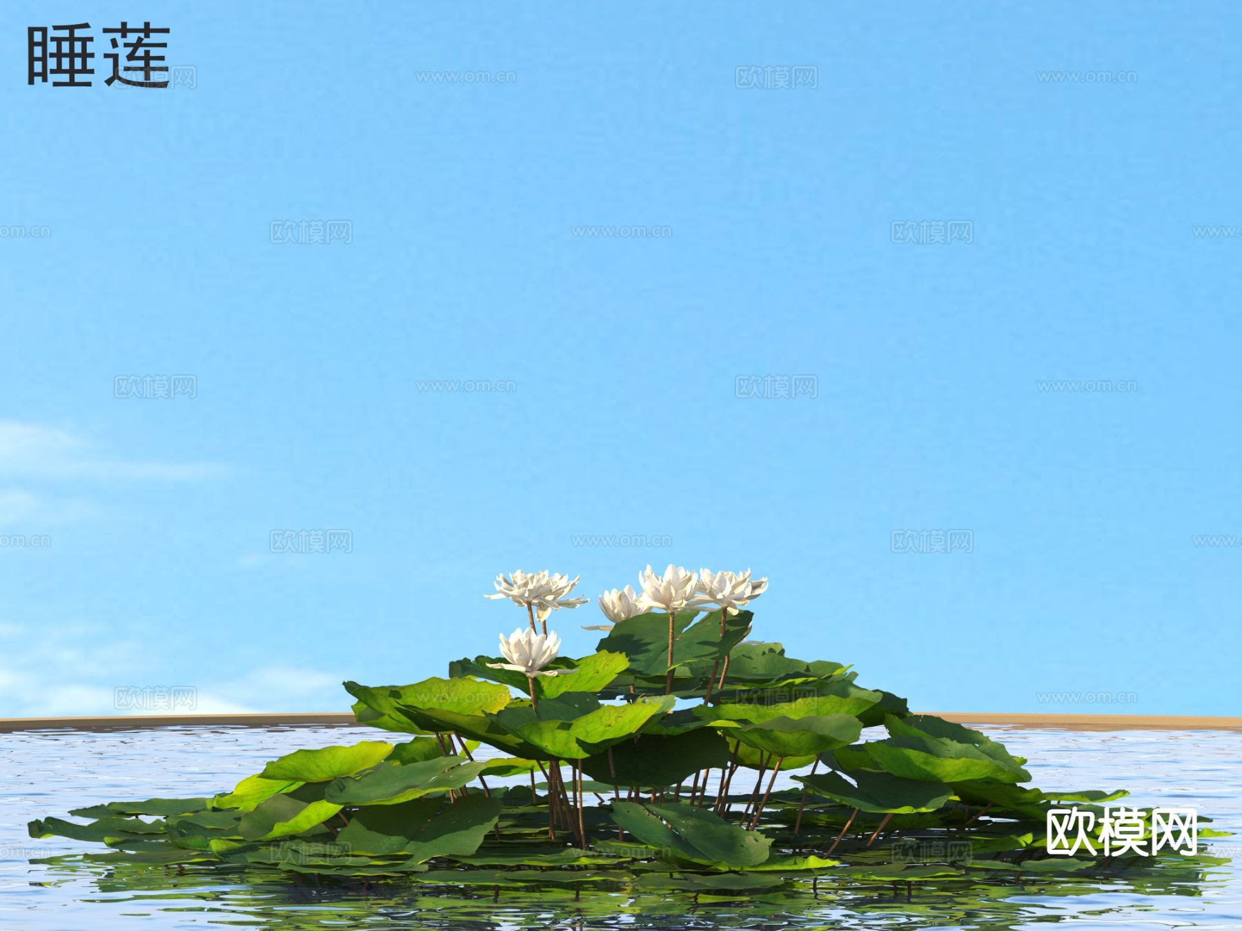 水生花草 睡莲3d模型下载
