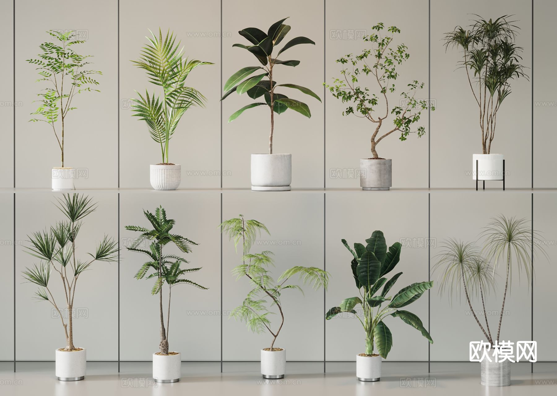 植物盆栽 散尾葵 芭蕉 千年木3d模型下载