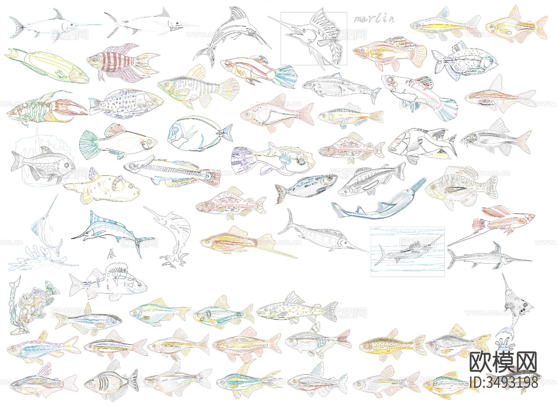 海洋生物cad图库下载（渲染图2）