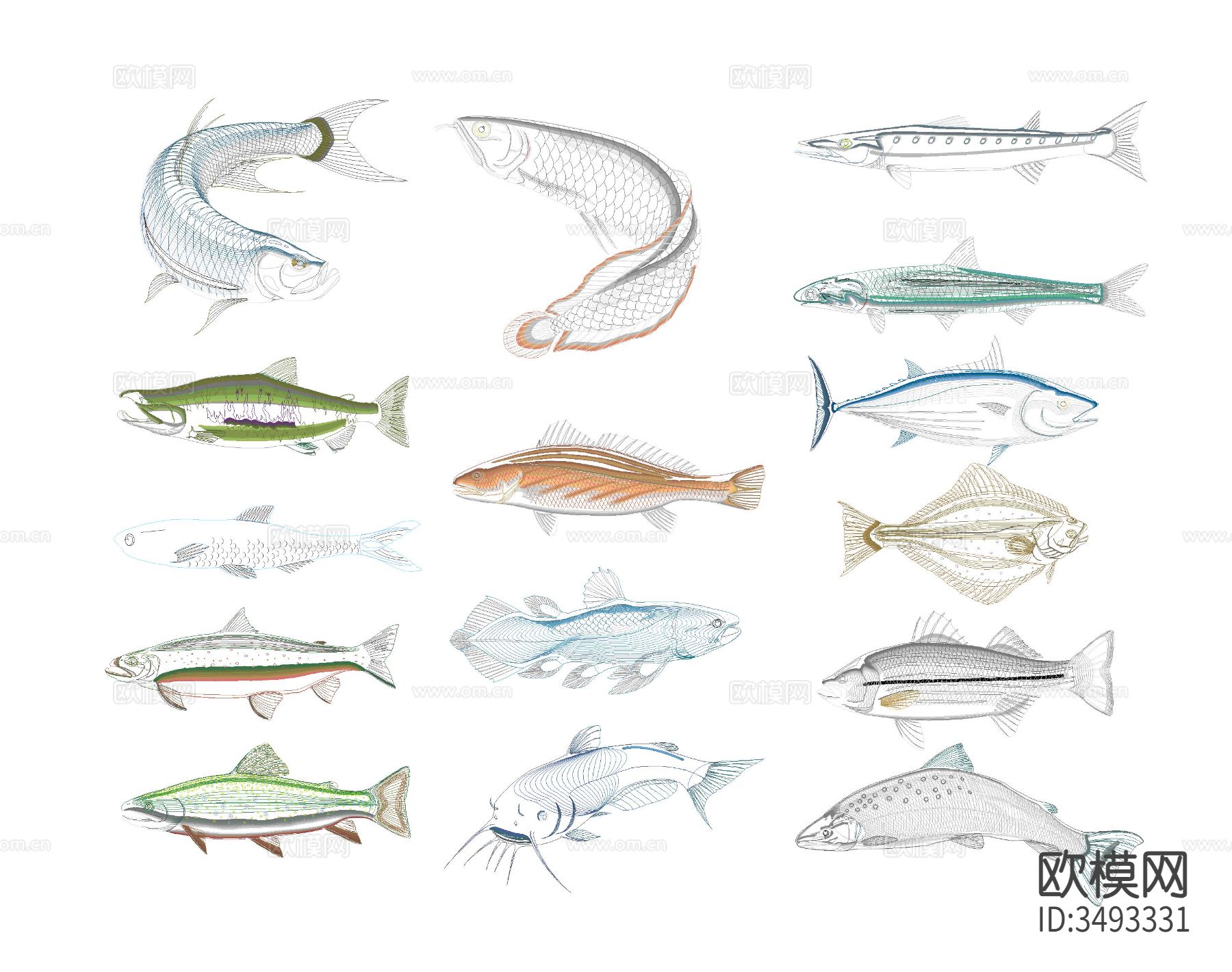 海洋生物cad图库下载（渲染图1）