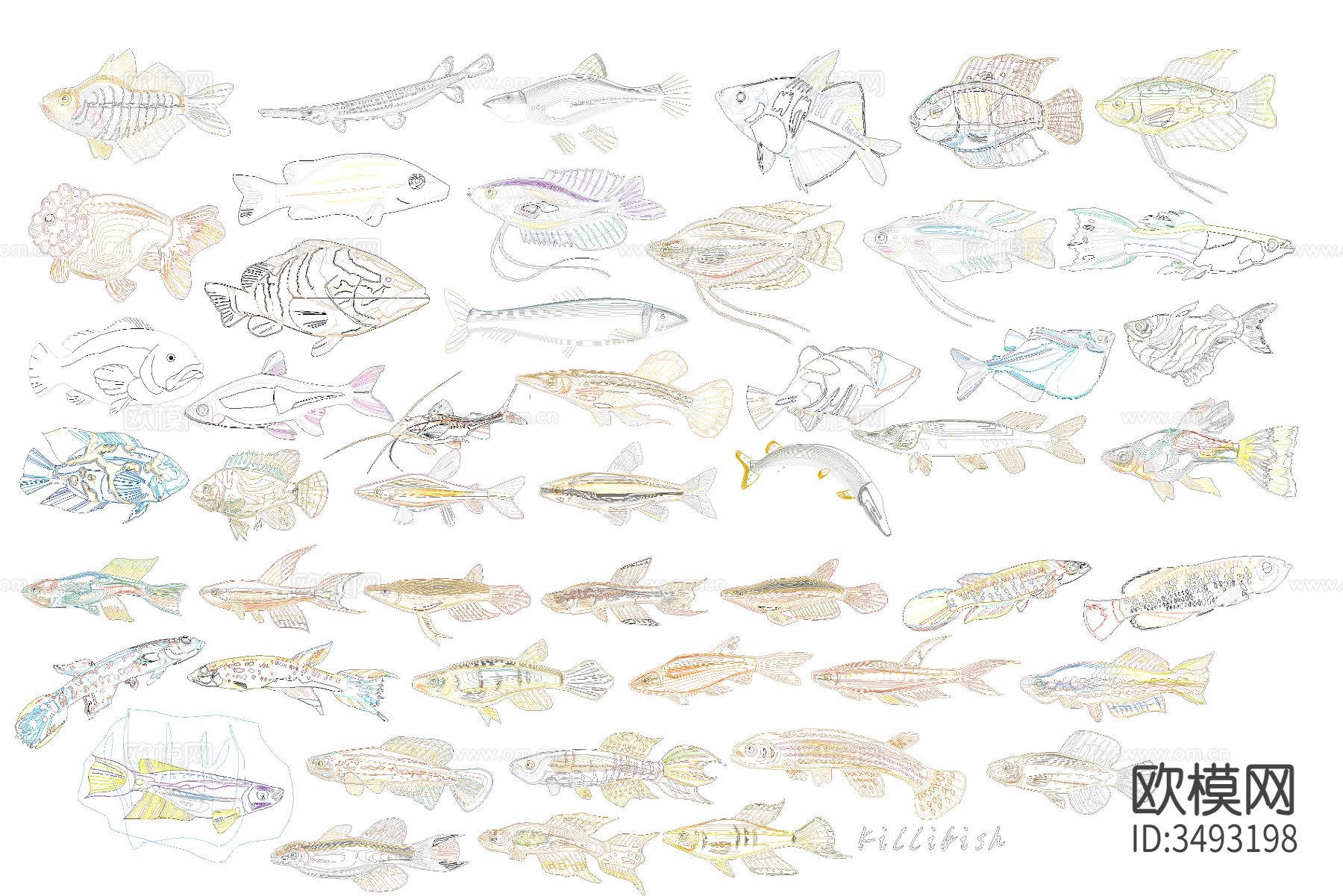 海洋生物cad图库下载（渲染图1）