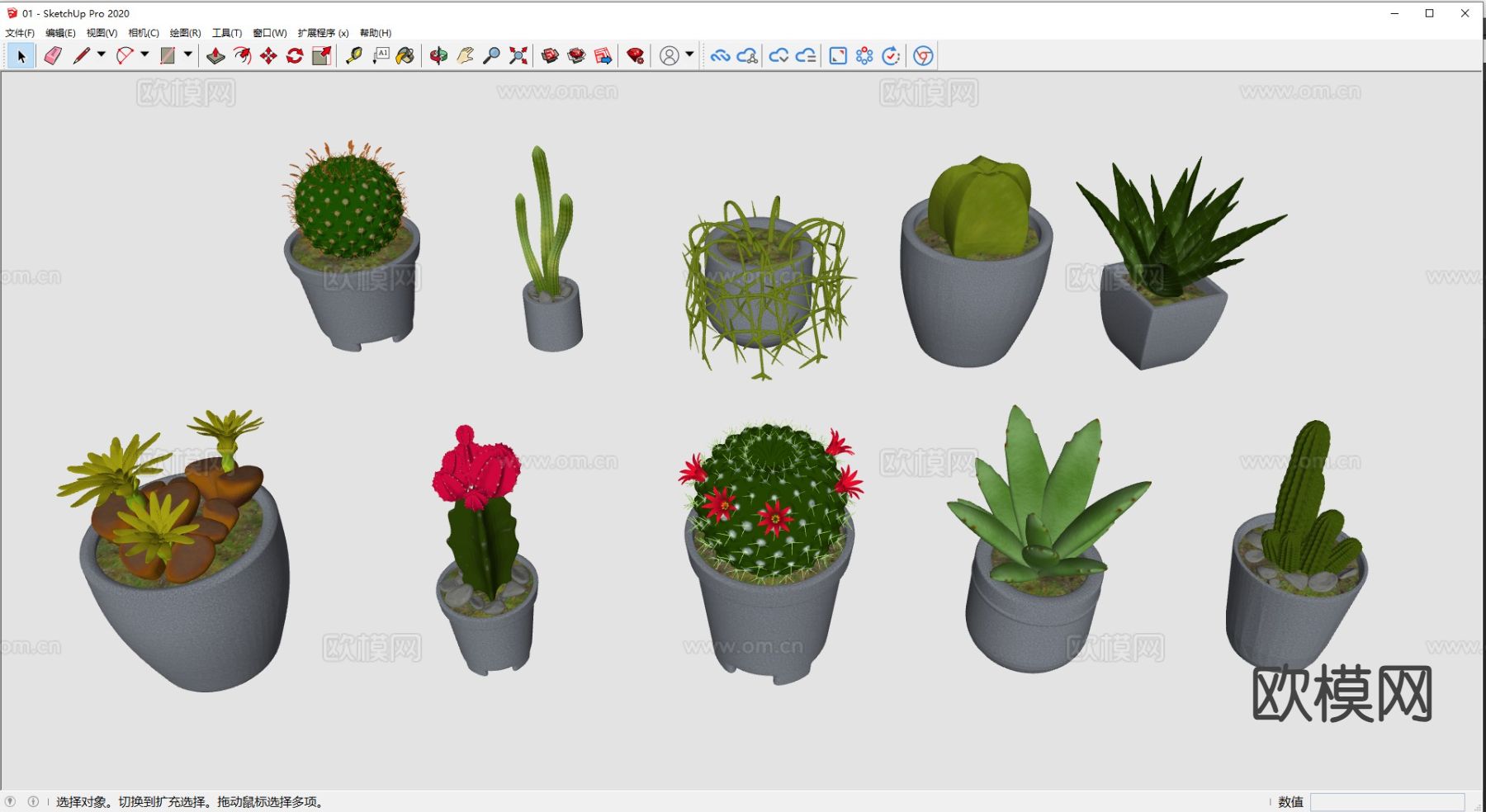 仙人球 芦荟 盆栽植物su模型下载（渲染图1）