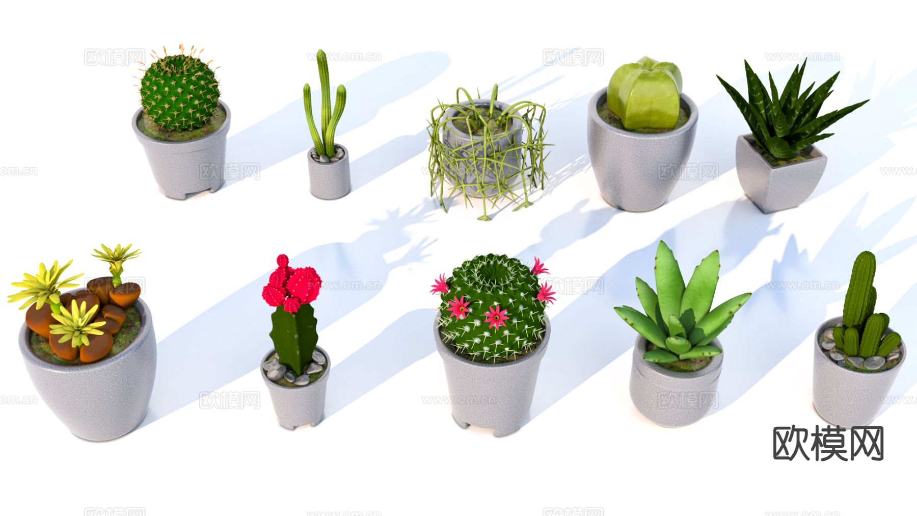 仙人球 芦荟 盆栽植物su模型下载（渲染图2）