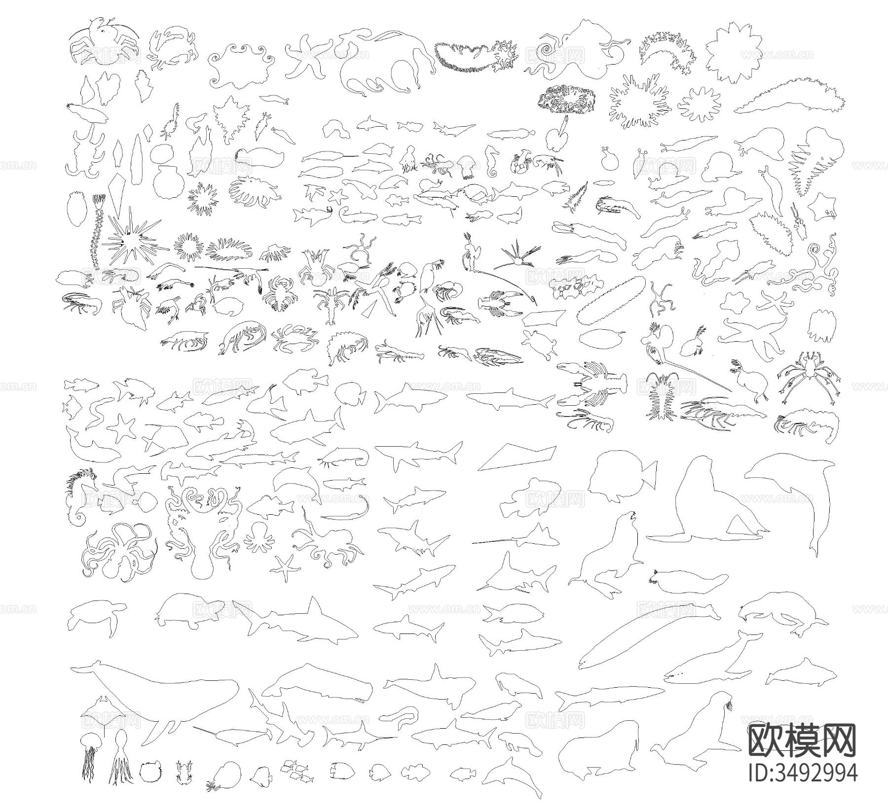 鱼类CAD图库下载