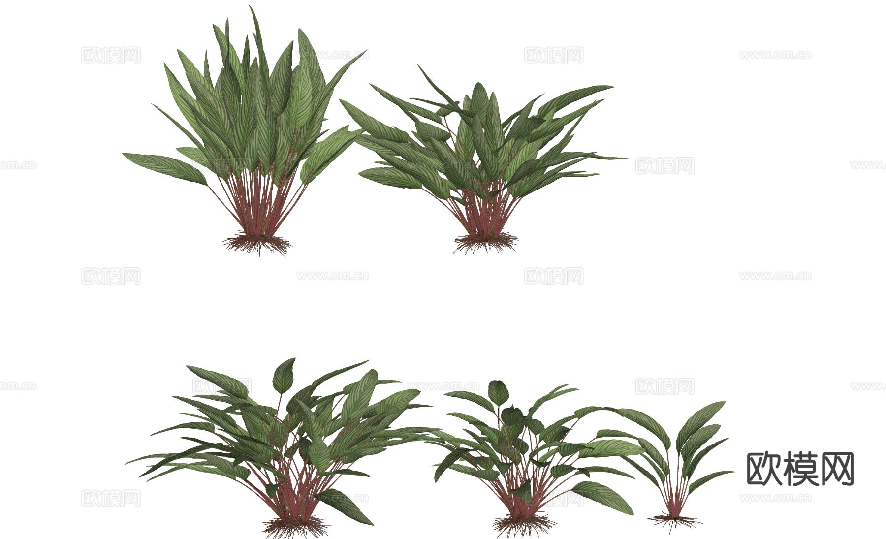 花草 室内绿植su模型下载（渲染图1）