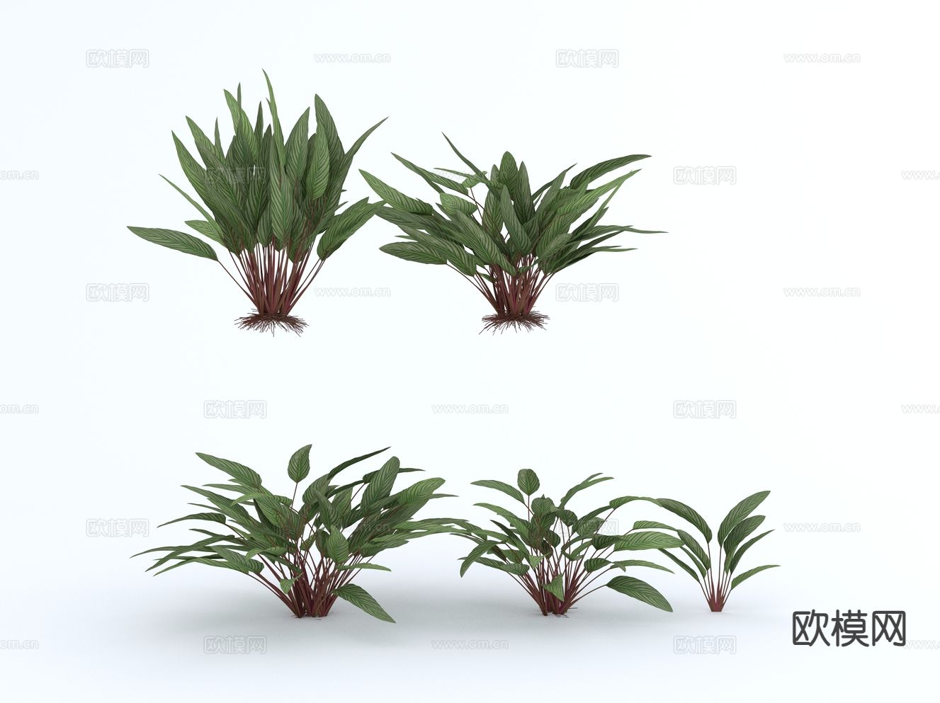 花草 室内绿植su模型下载（渲染图2）