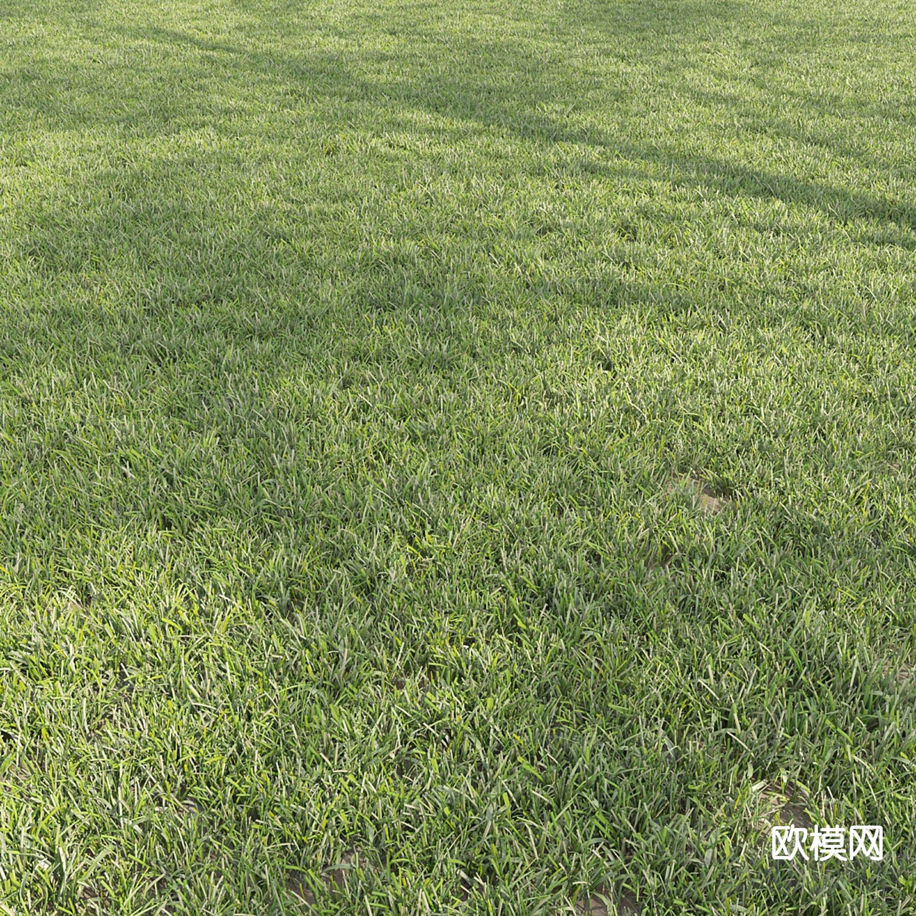 草地 草坪 绿茵3d模型下载