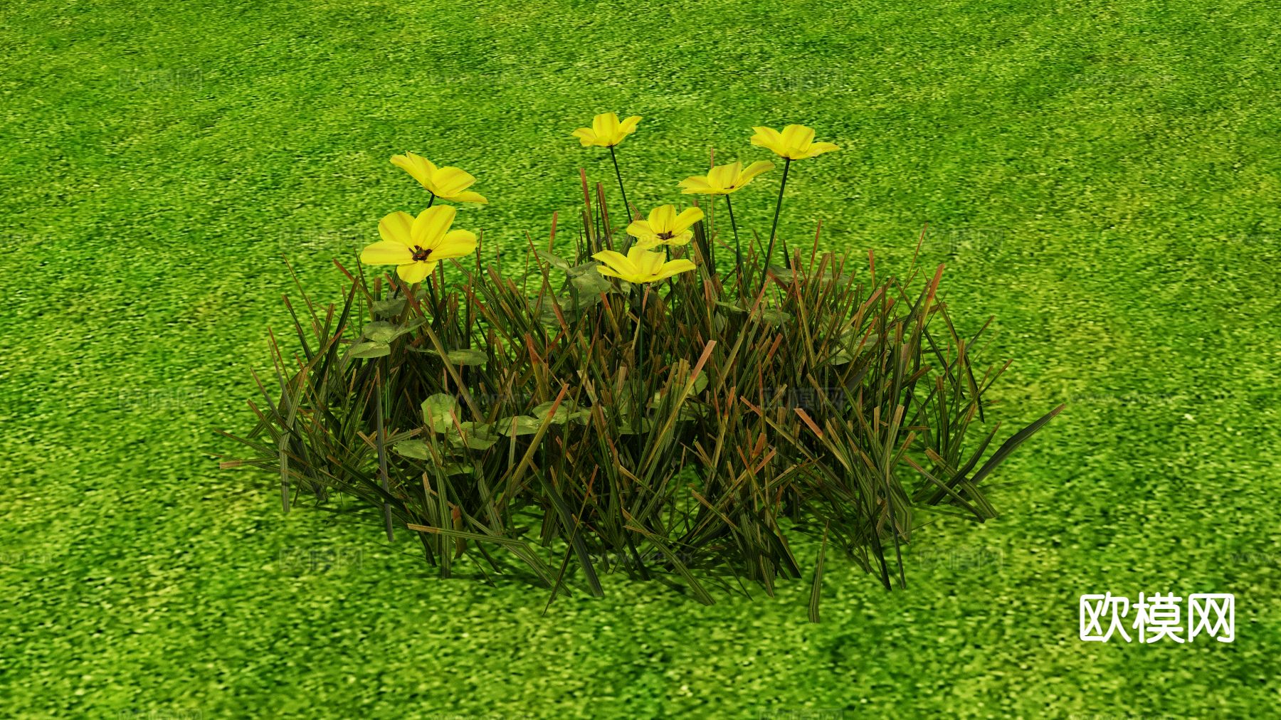 花草 野花 草地3d模型下载