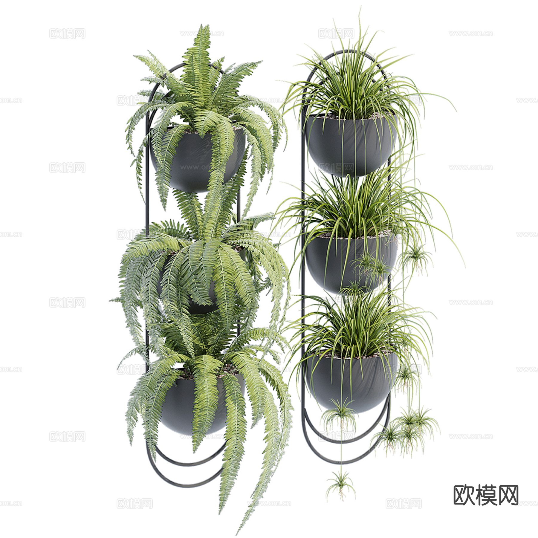 绿植 盆栽 吊篮3d模型下载