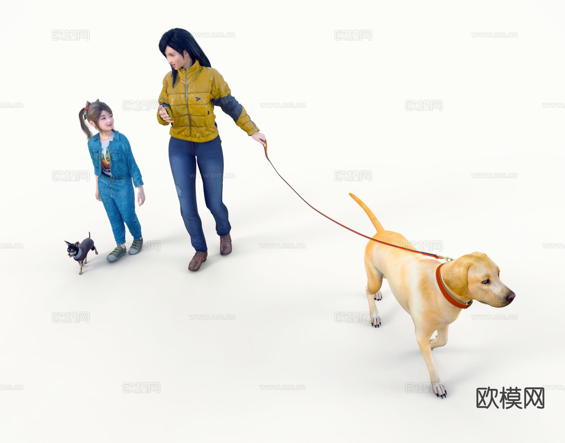 现代拉布拉多 狗3d模型下载（渲染图2）