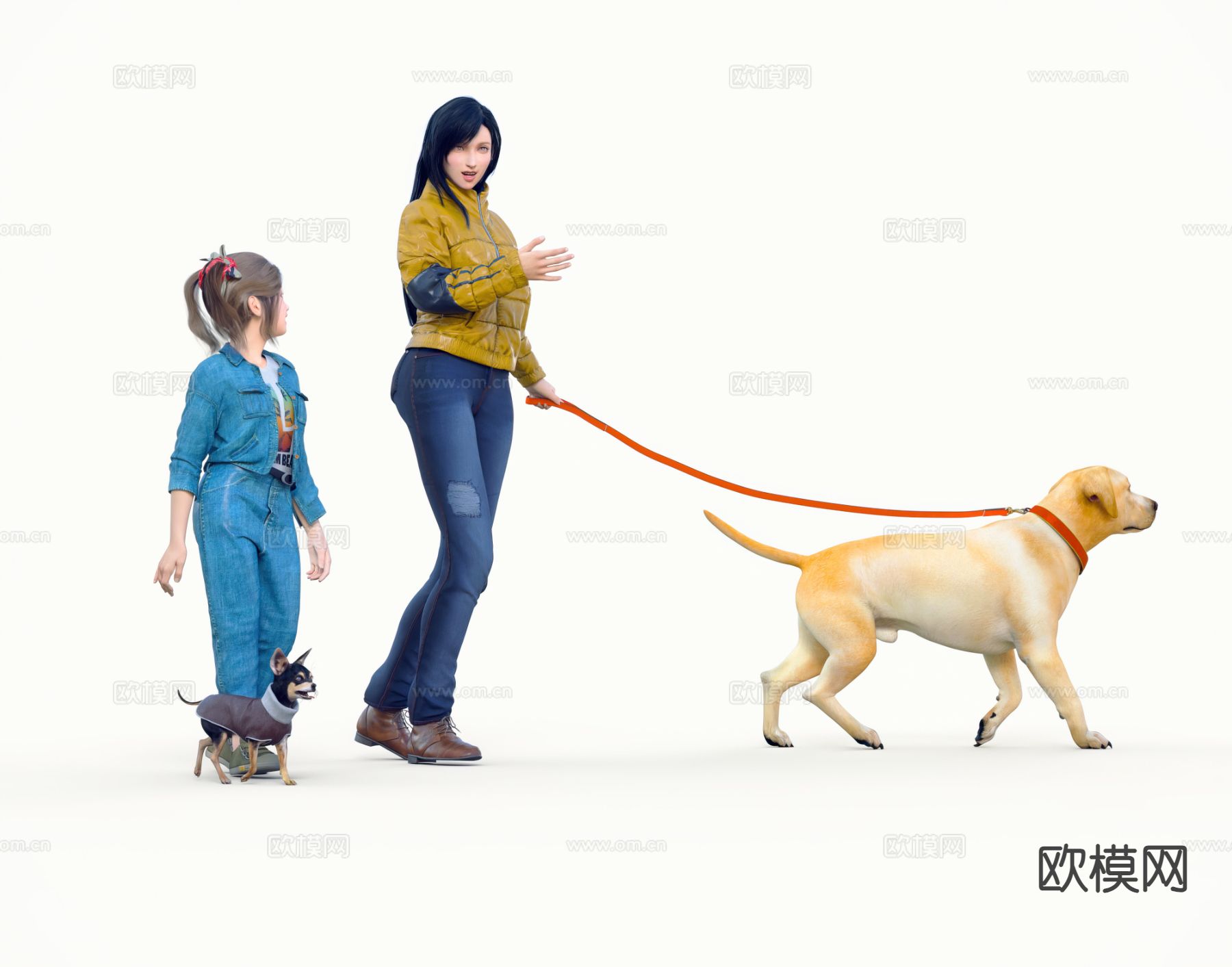 现代拉布拉多 狗3d模型下载（渲染图1）