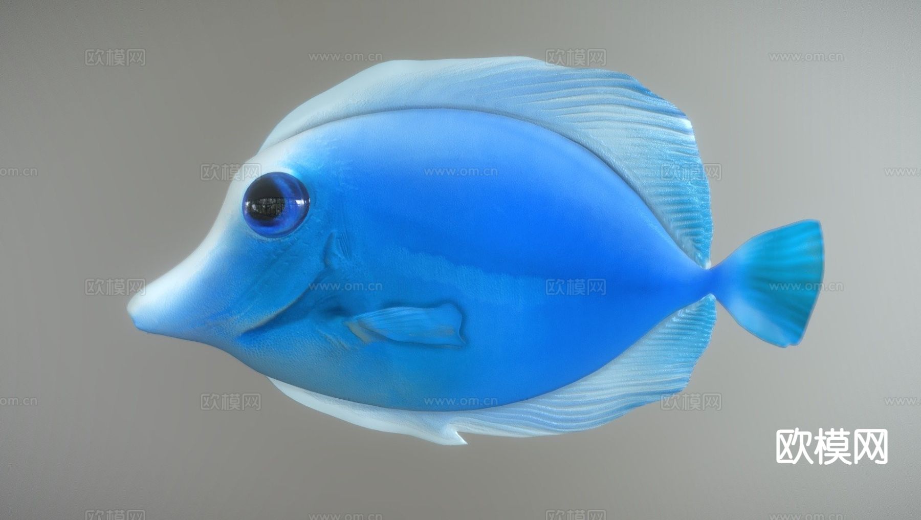现代热带鱼3d模型下载