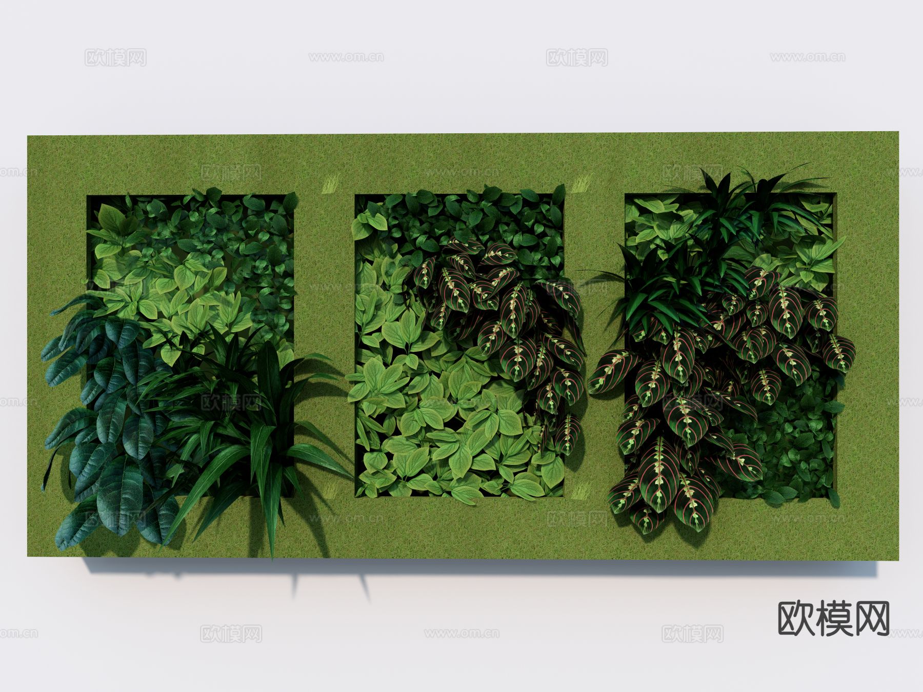 现代植物墙 绿植墙su模型下载（渲染图2）