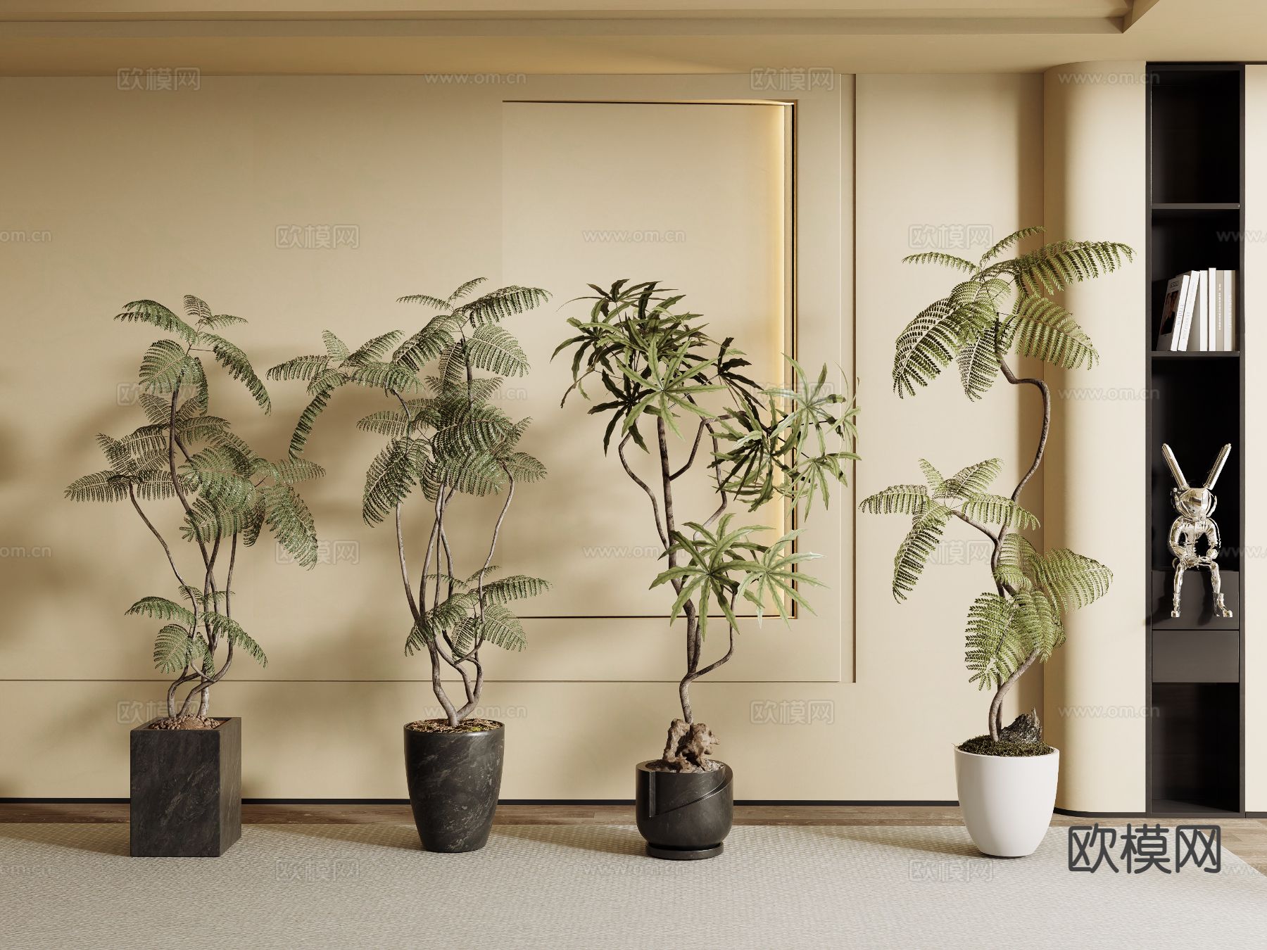 蕨类盆栽 绿植3d模型下载