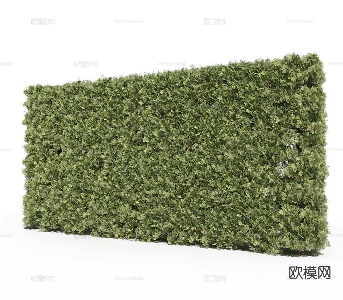 绿植墙 植物墙 植物篱笆墙 灌木3d模型下载