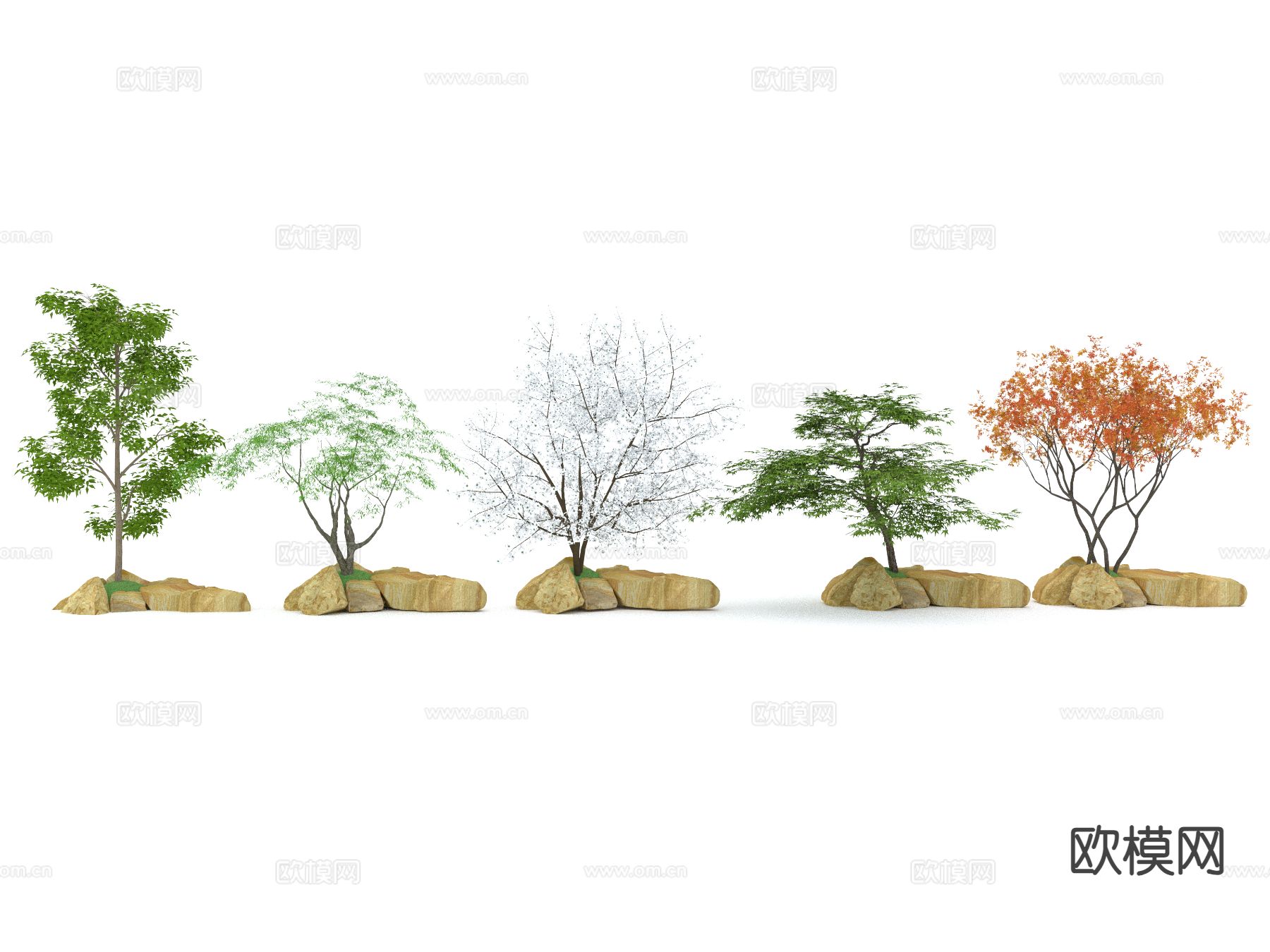 庭院植物 紫薇树 银杏树su模型下载（渲染图2）