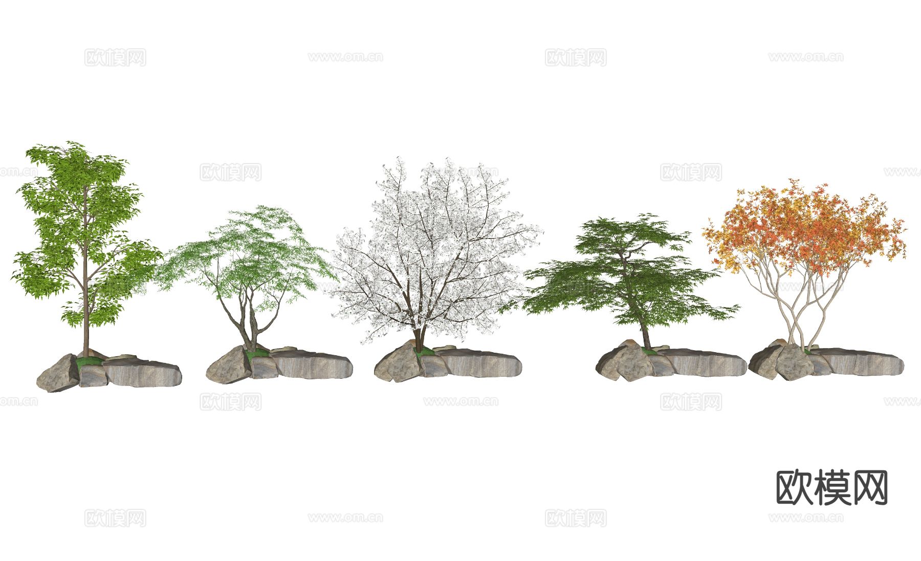 庭院植物 紫薇树 银杏树su模型下载（渲染图1）