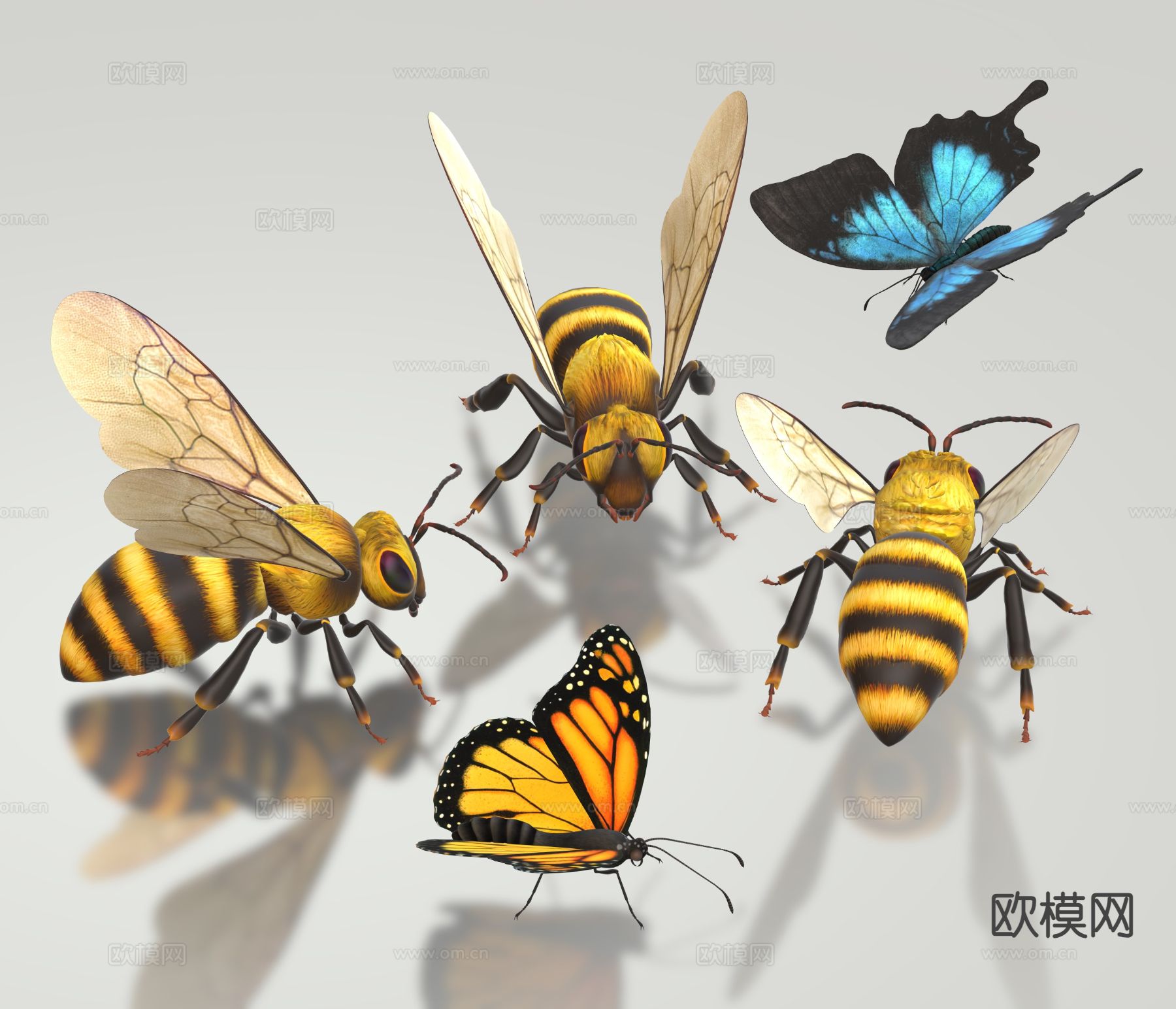 现代蜜蜂 蝴蝶 昆虫3d模型下载