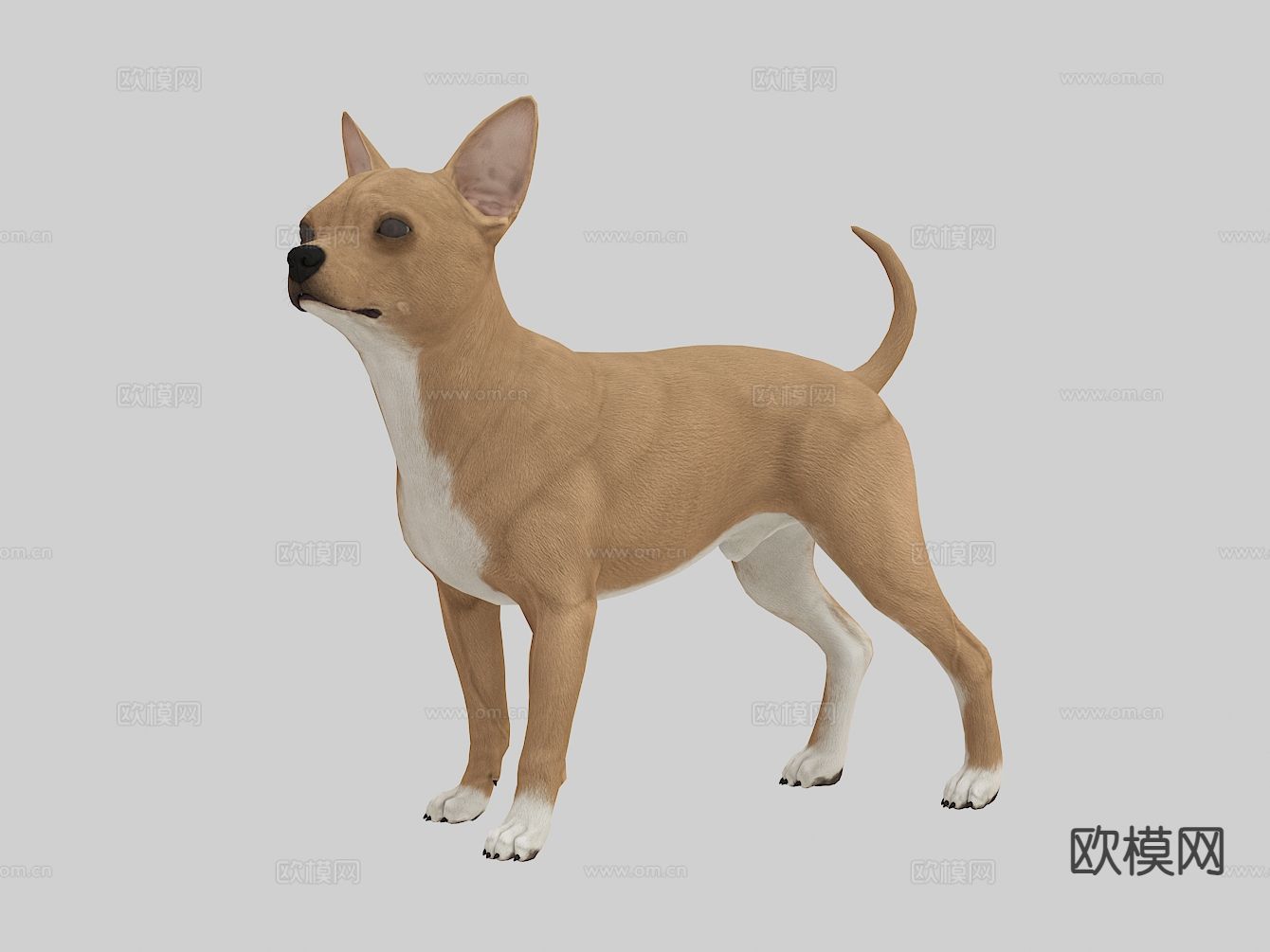 现代狗 宠物狗3d模型下载