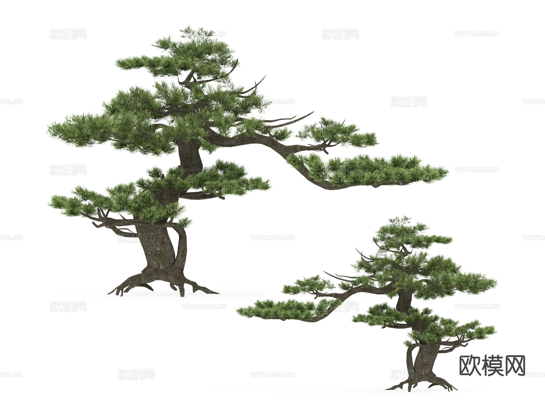 景观树 松树 大树 树木3d模型下载