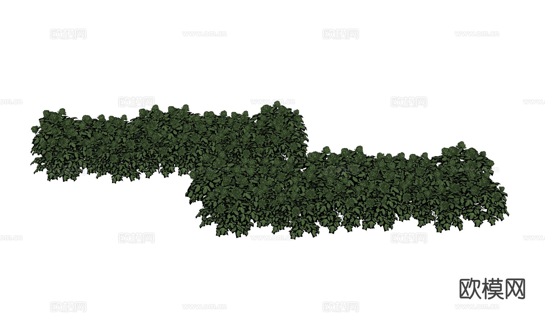 现代地被 植物 草花植物 宿根花卉su模型下载（渲染图1）