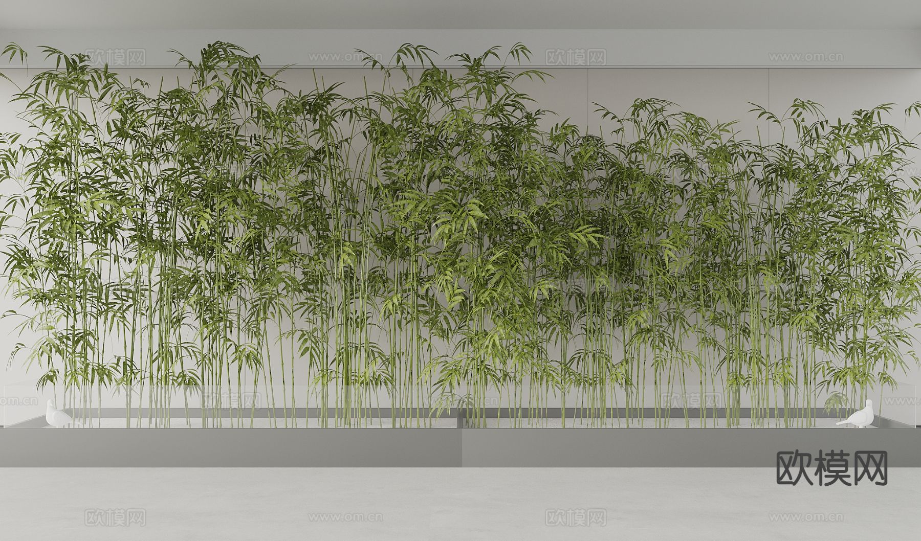 竹子 景观竹 富贵竹 青竹3d模型下载